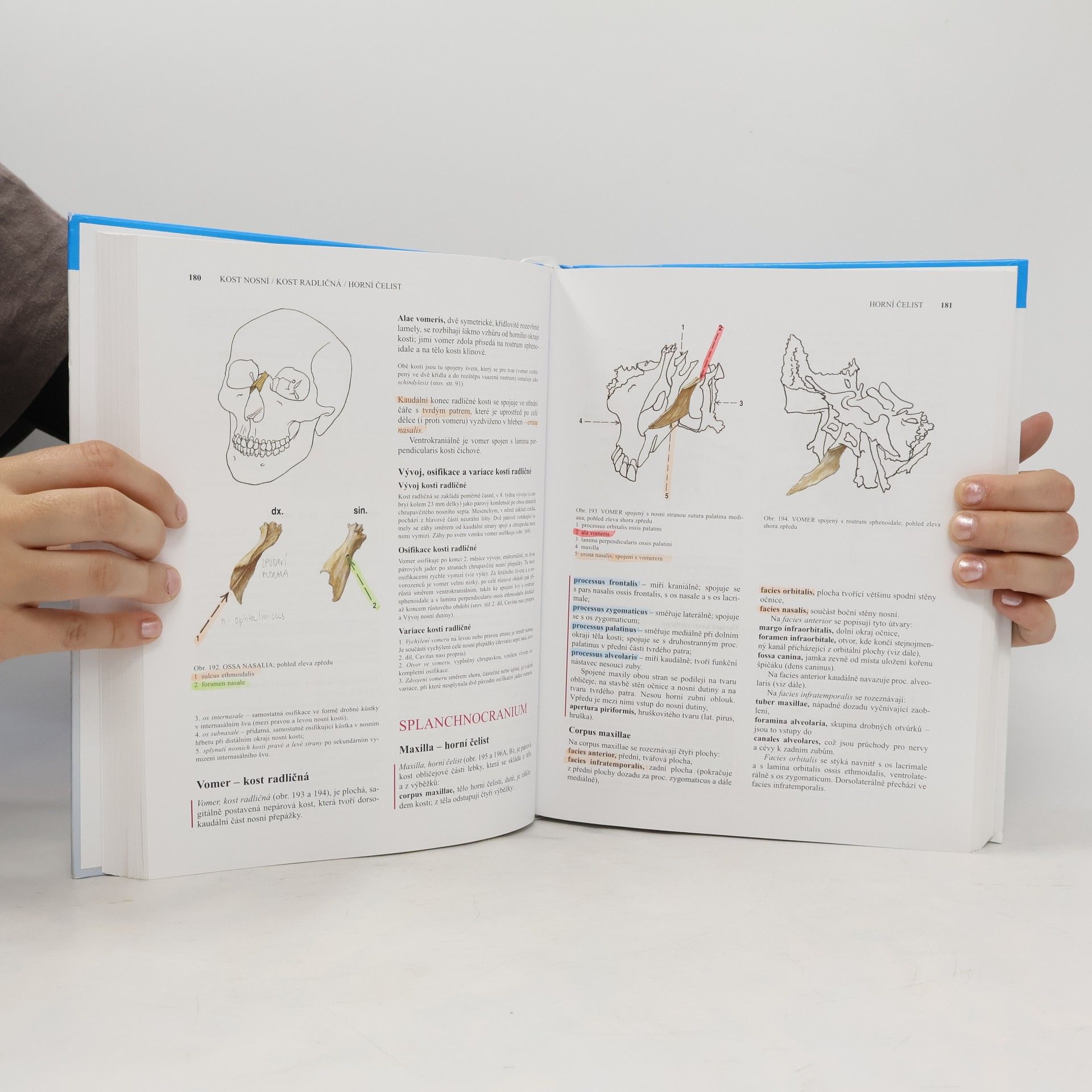 Oldřich Fejfar Anatomie 1