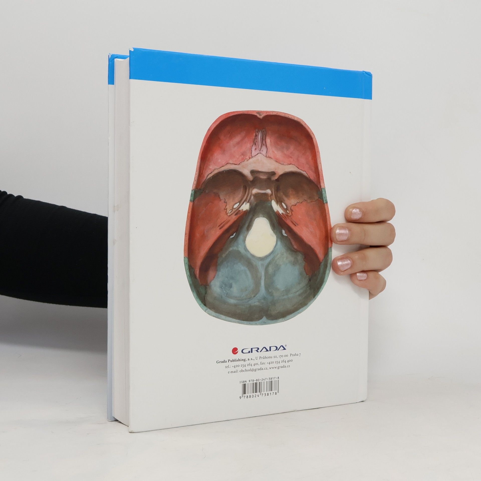 Oldřich Fejfar Anatomie 1
