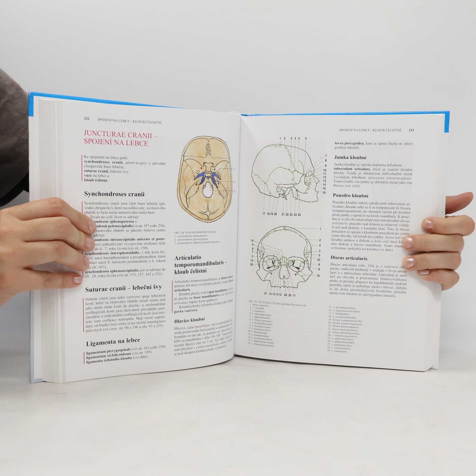 Oldřich Fejfar Anatomie 1