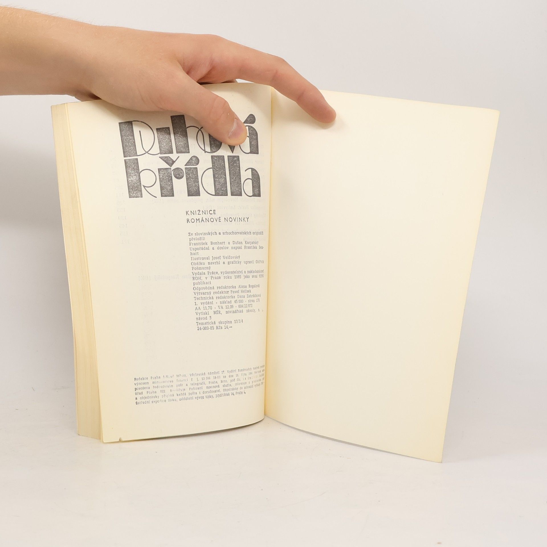 Various authors Duhová křídla