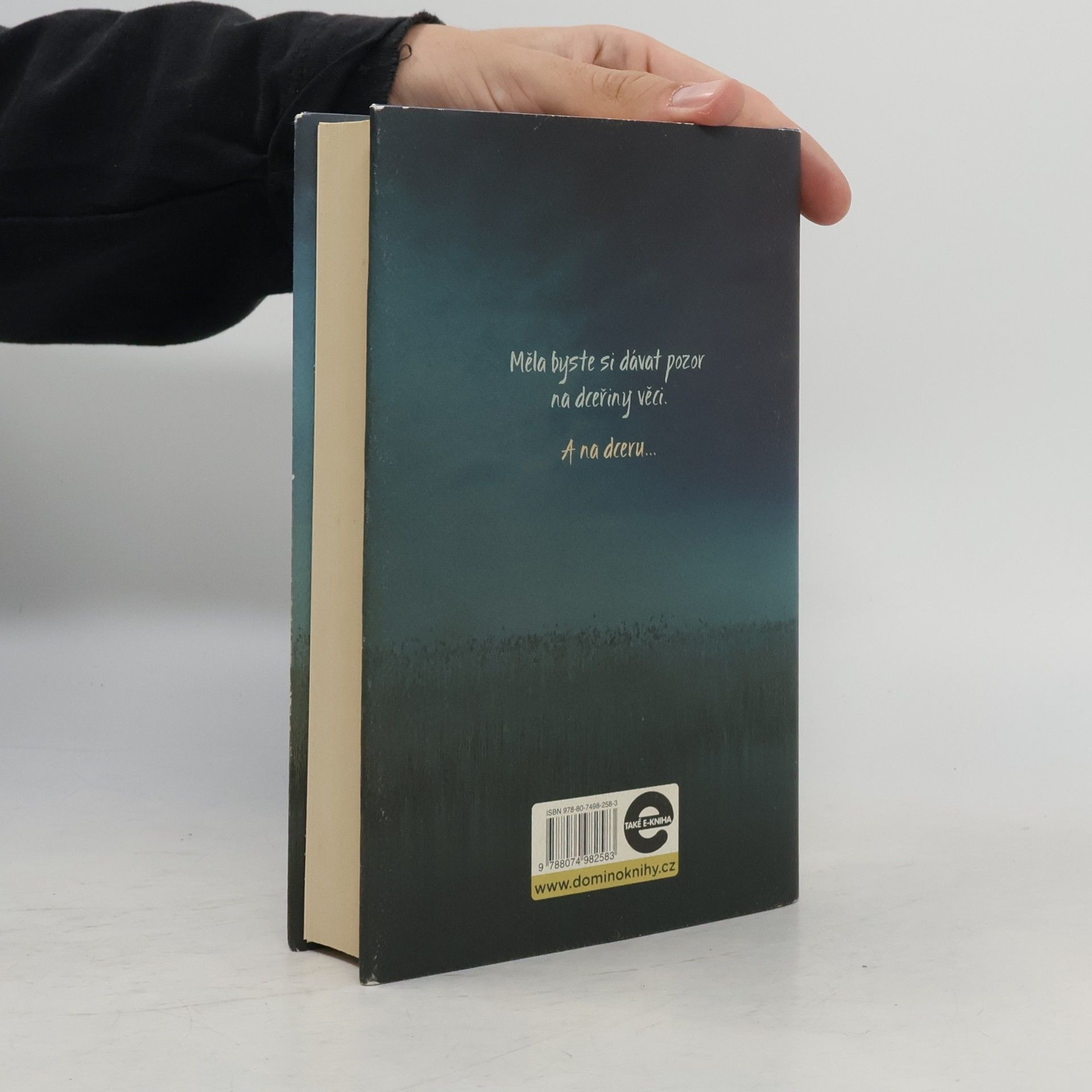 C.L. Taylor Útěk : psychothriller