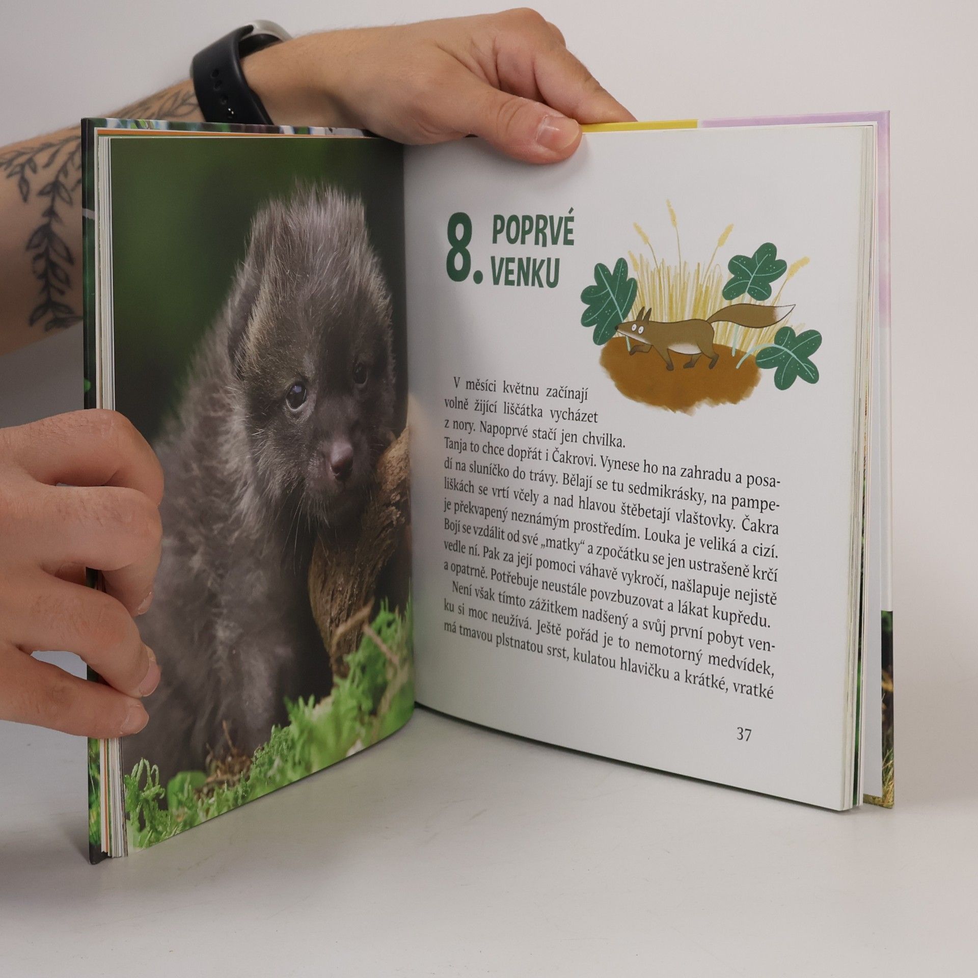 Libuše Radová Lišáčkova dobrodružství