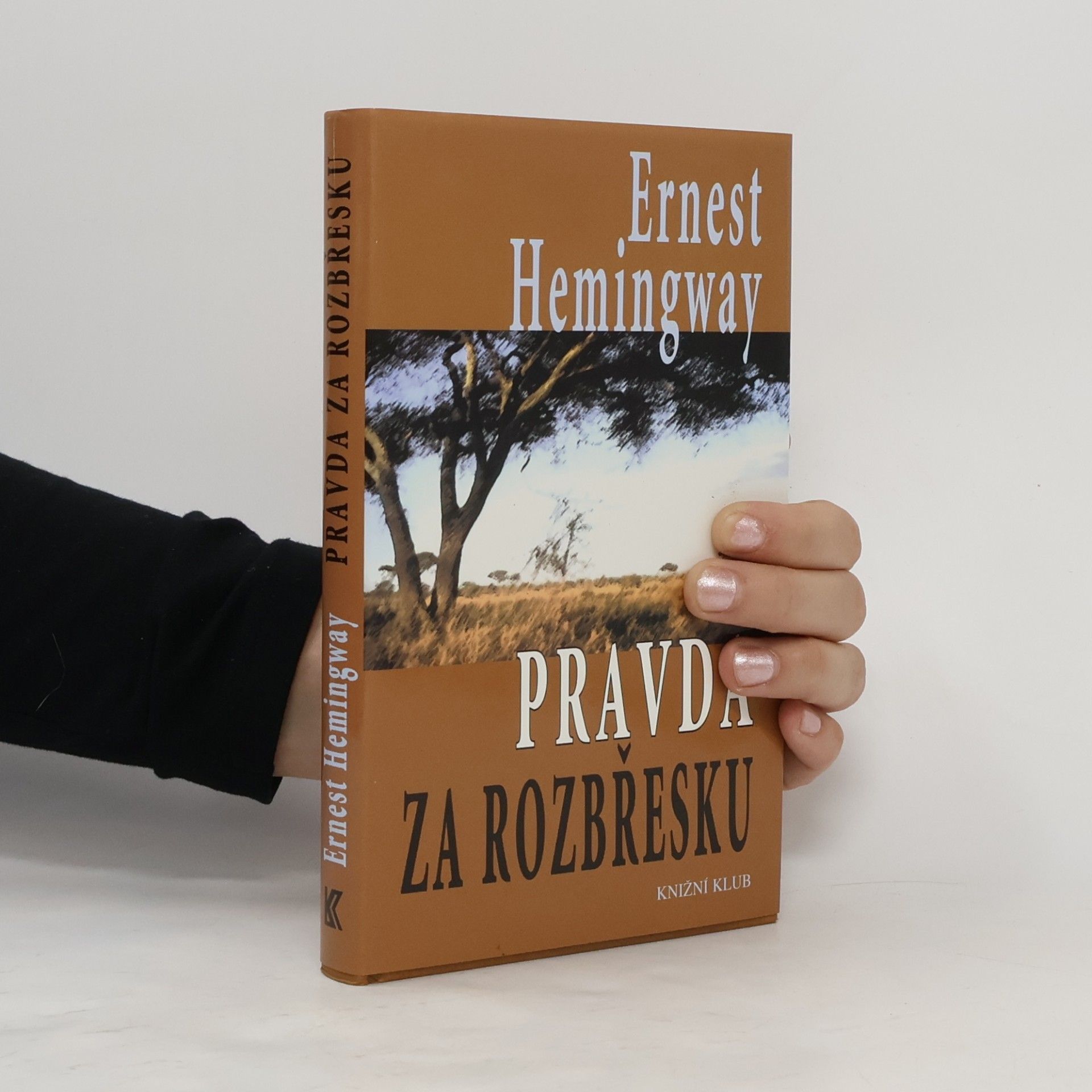 Ernest Hemingway Pravda za rozbřesku