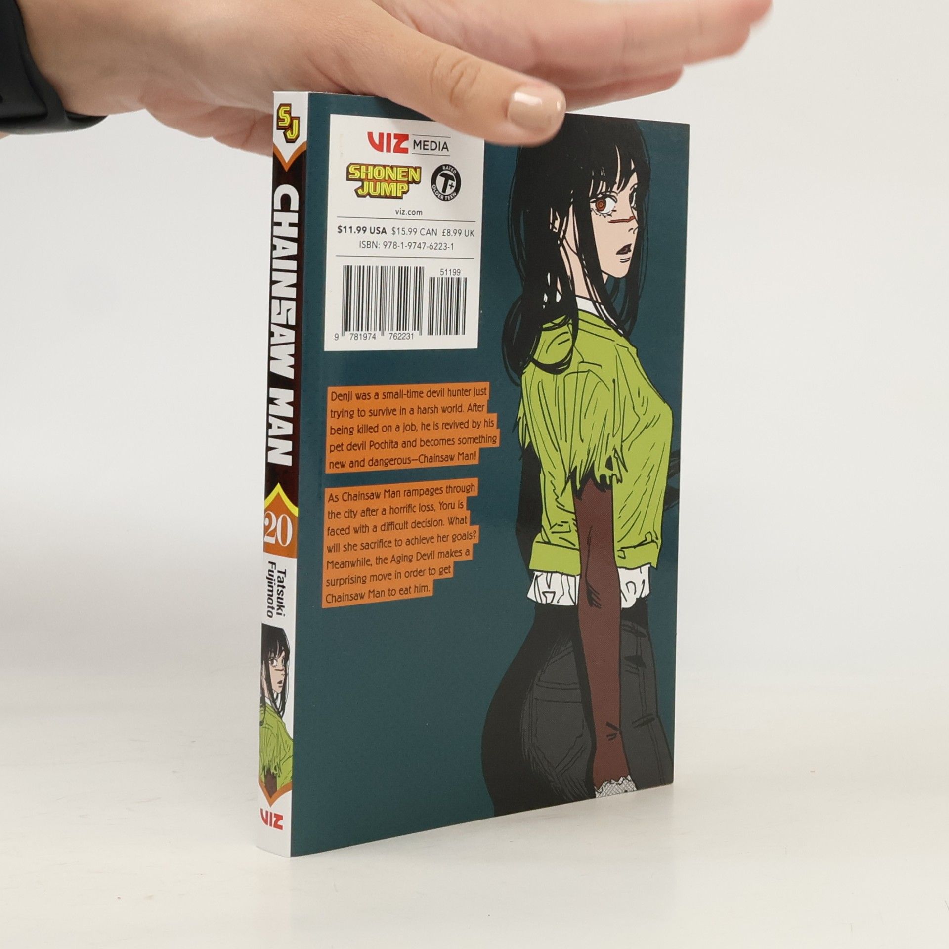 Chainsaw Man, Vol. 20