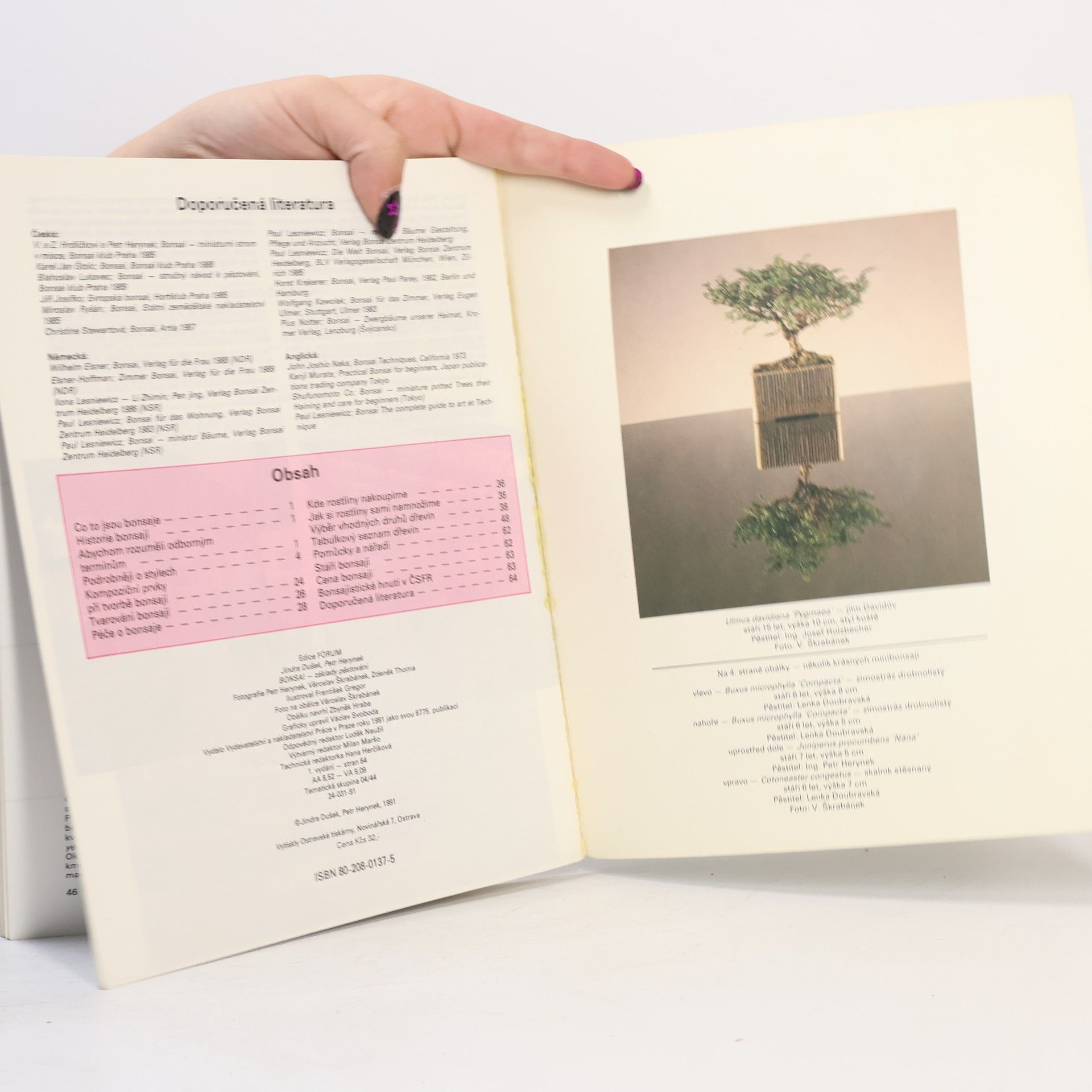 Petr Herynek Bonsai. Základy pěstování