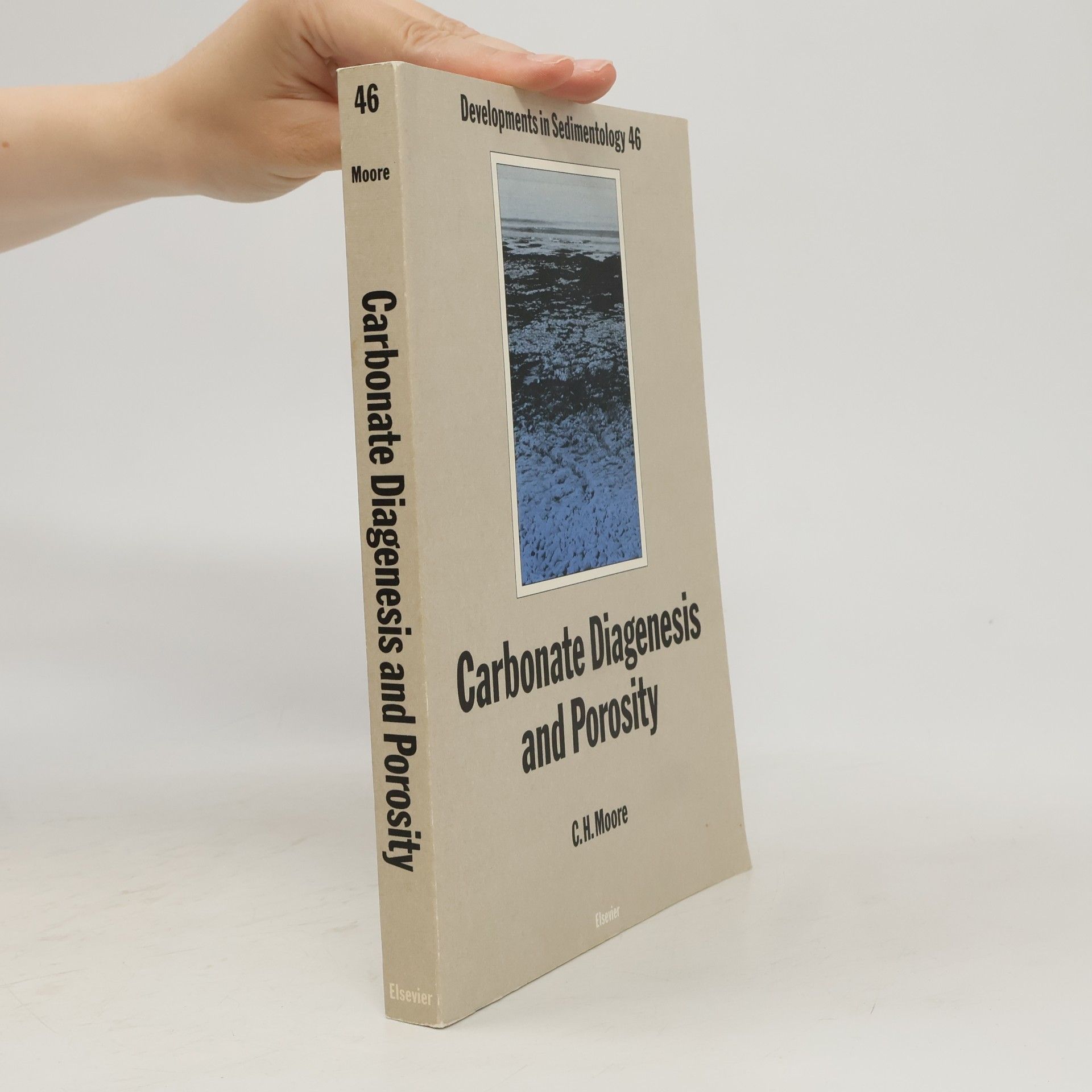 Clyde H. Moore Developments in Sedimentology, Volume 46