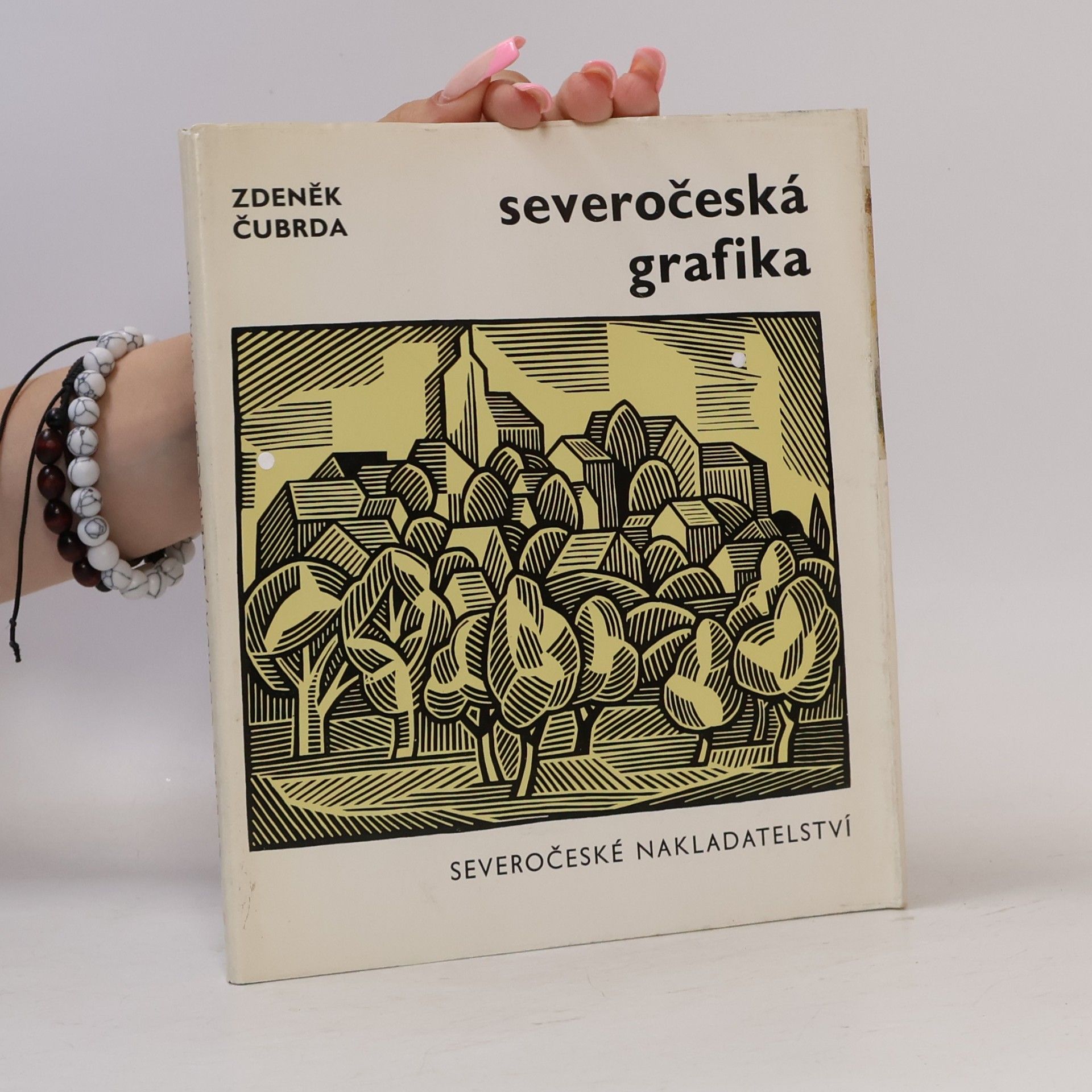 Zdeněk Čubrda Severočeská grafika