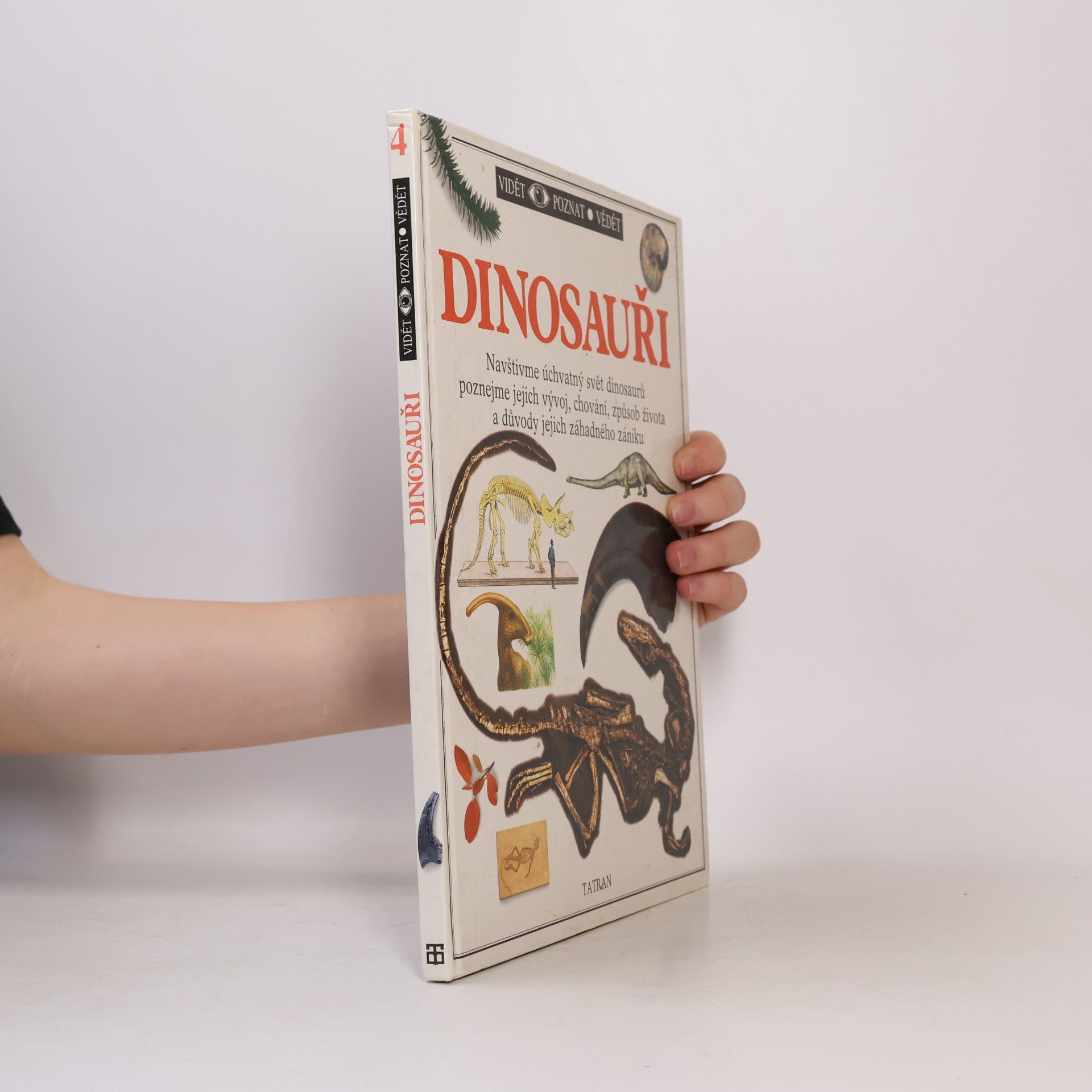 Autorenkollektiv Dinosauři