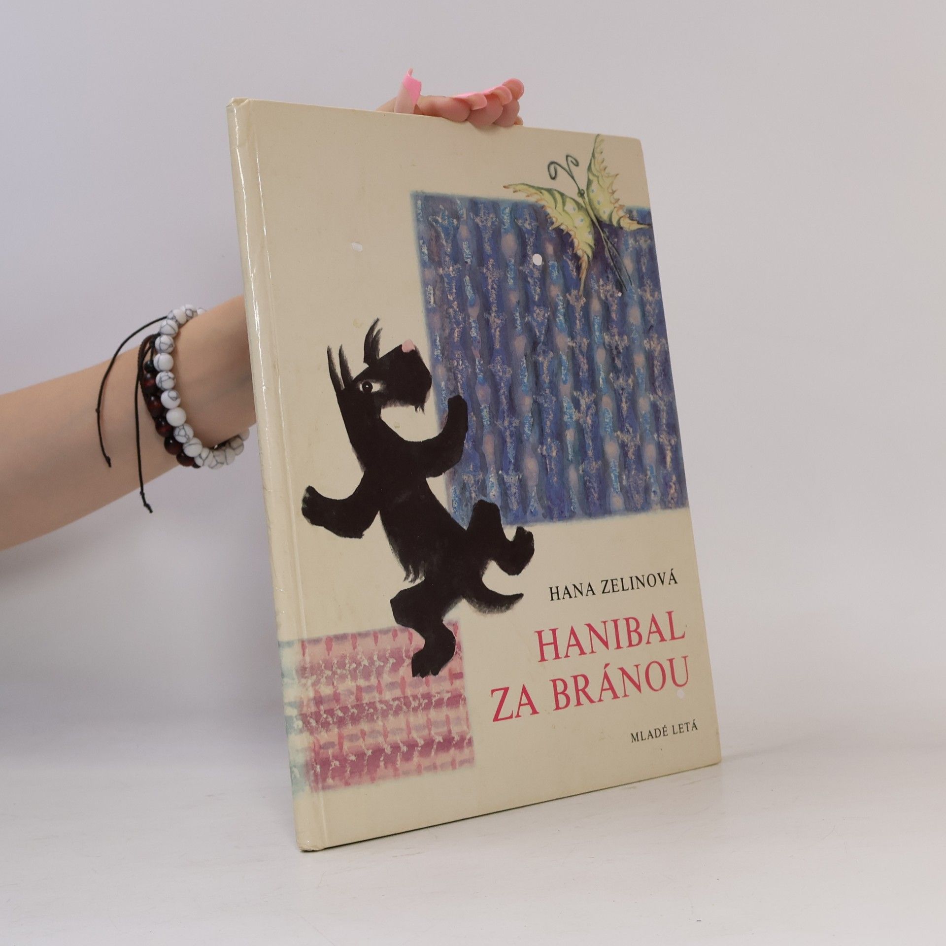 Hana Zelinová Hanibal za bránou