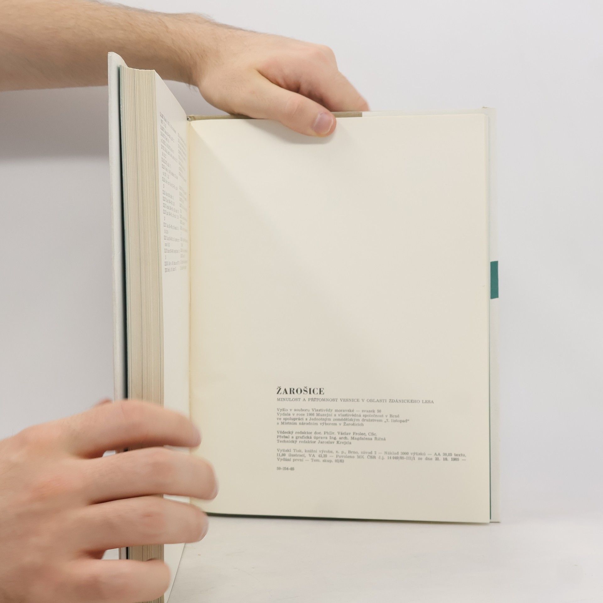 Autores varios Žarošice