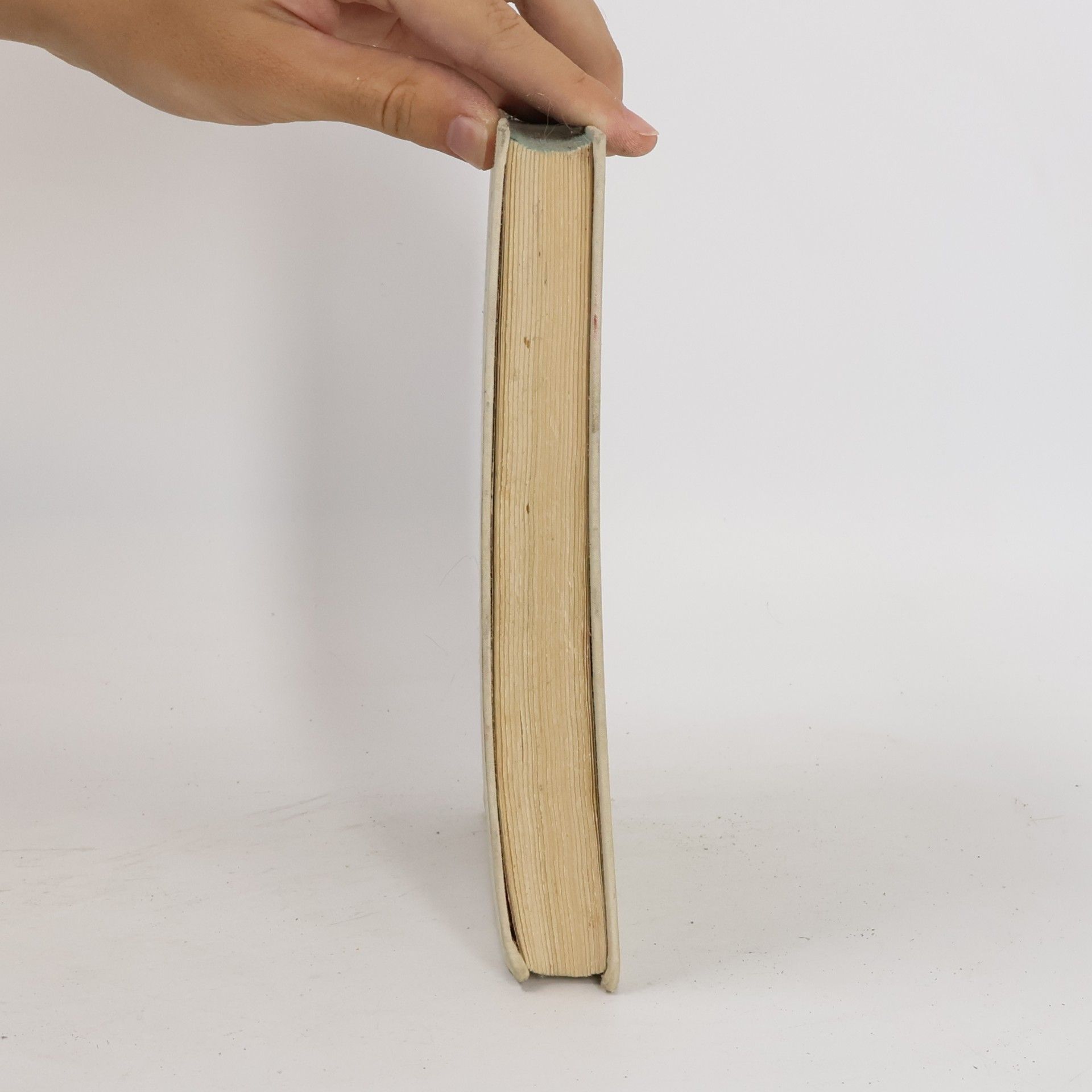 Kolektiv autorů Deset německých novel