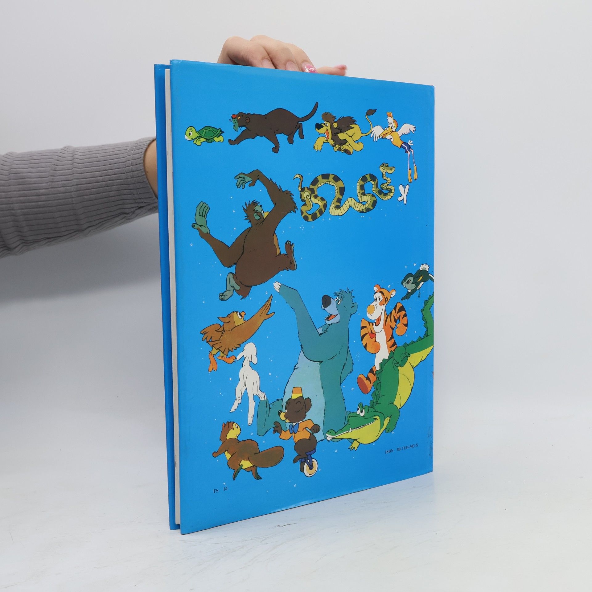Autorenkollektiv Velký obrázkový slovník Walt Disney. Německo-český