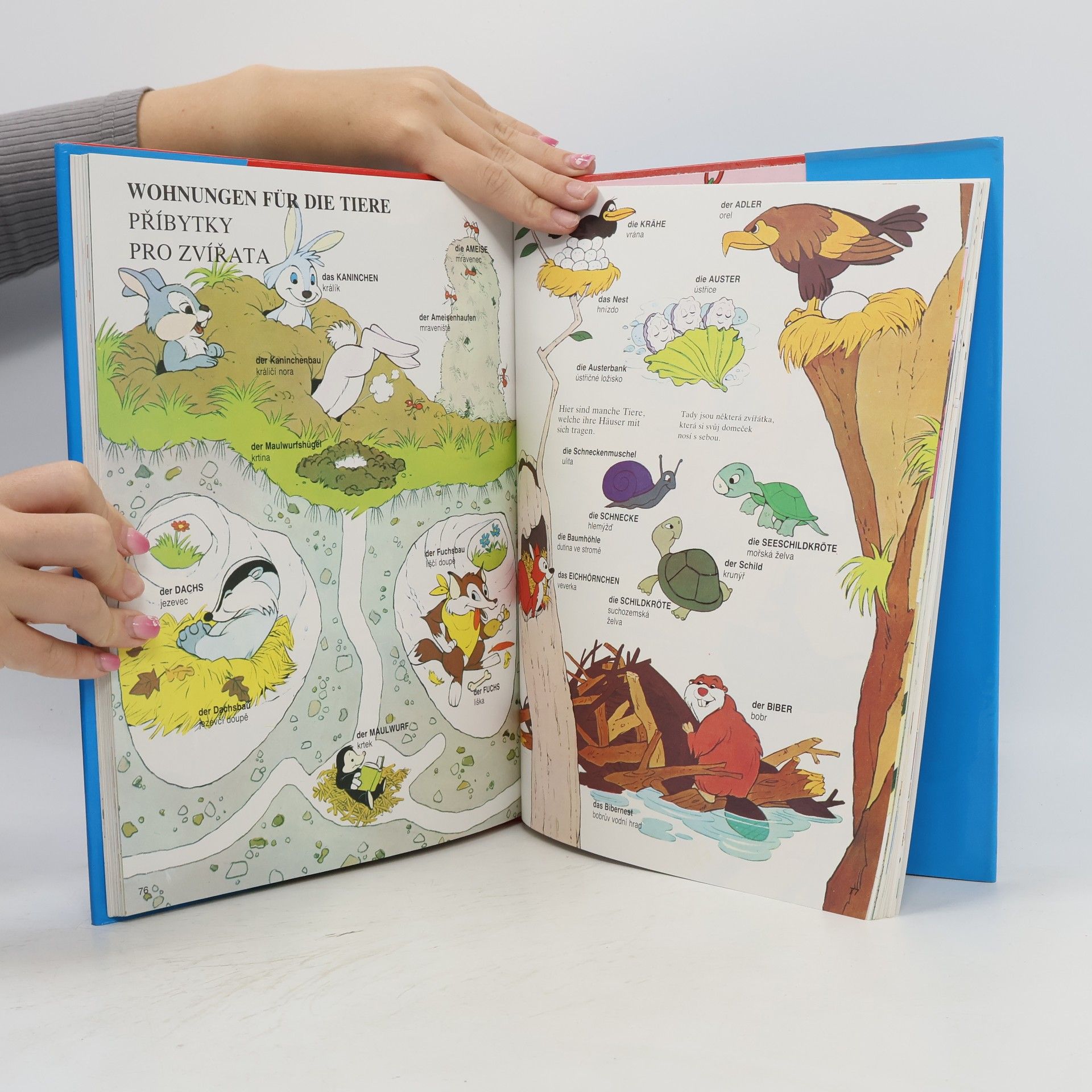 Autorenkollektiv Velký obrázkový slovník Walt Disney. Německo-český