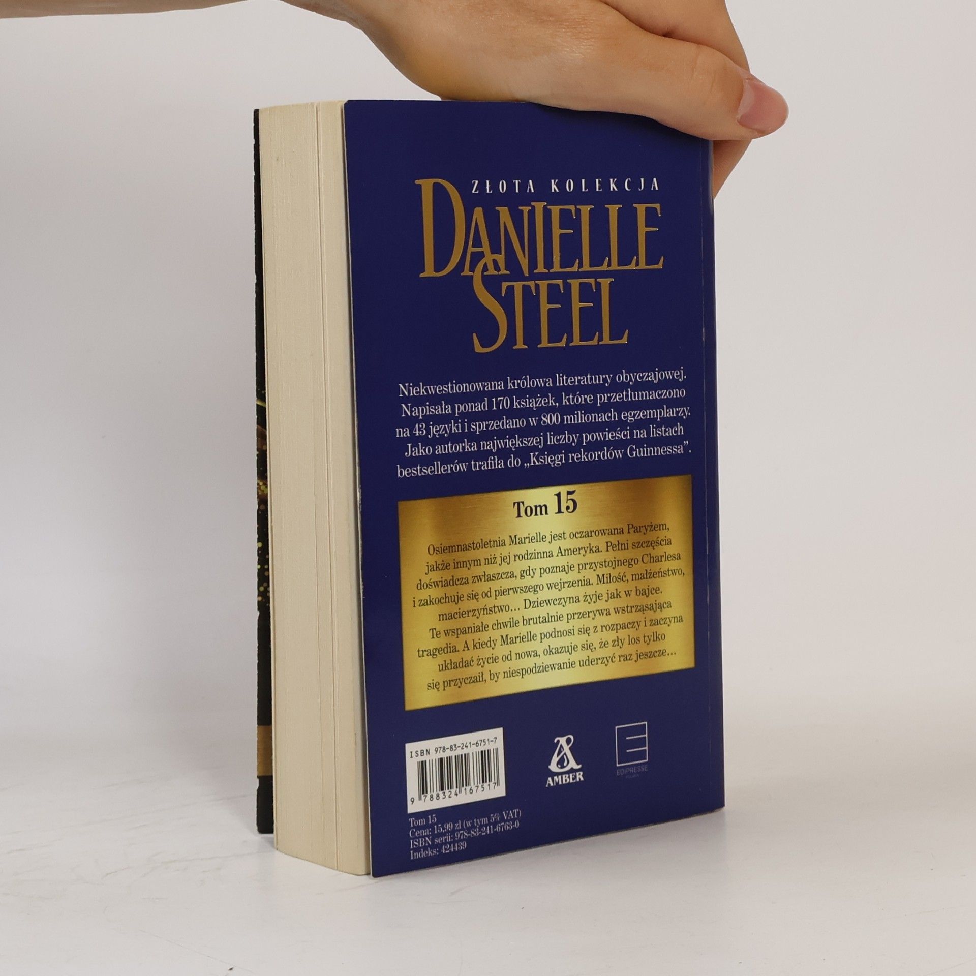 Danielle Steel Porwanie 15