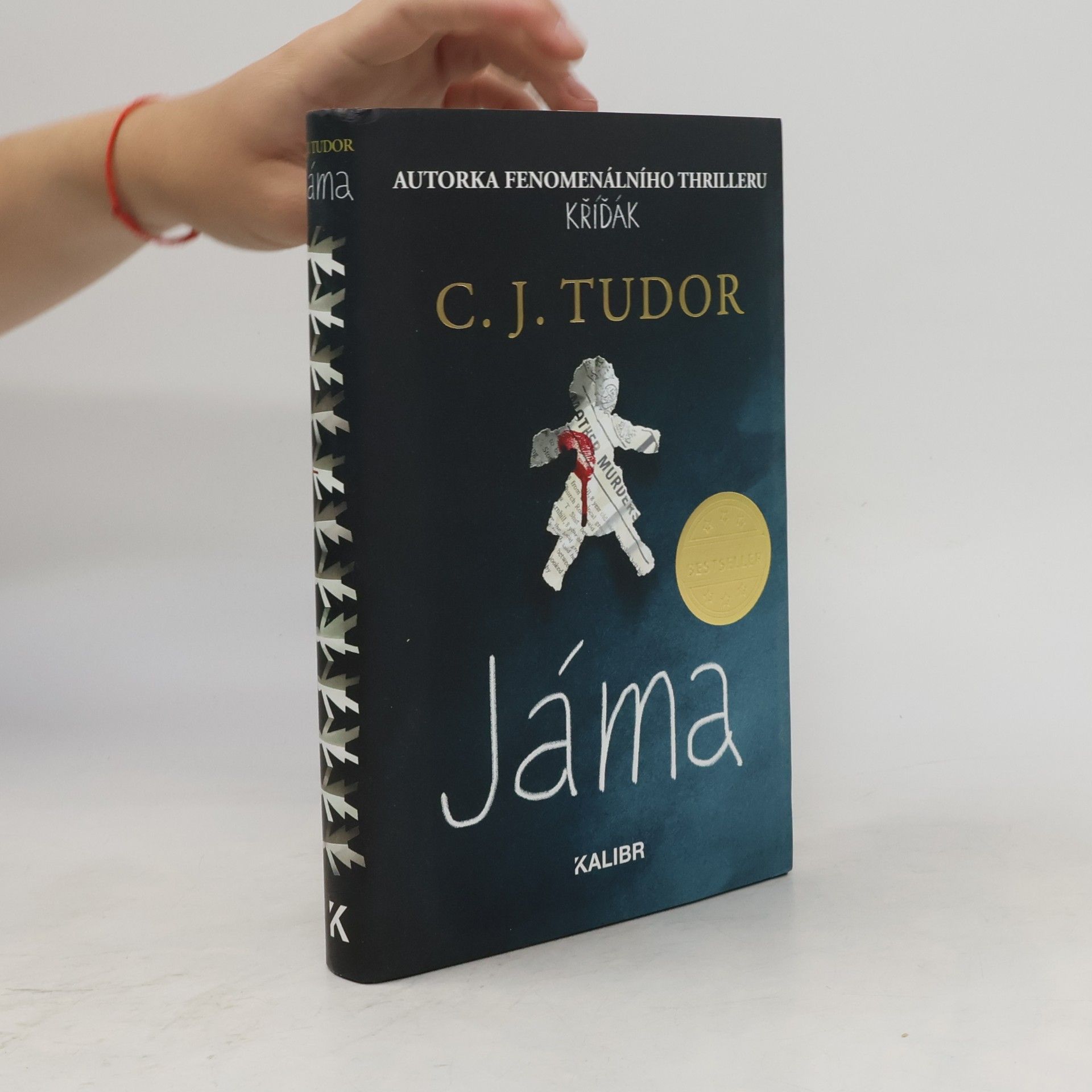 C.J. Tudor Jáma