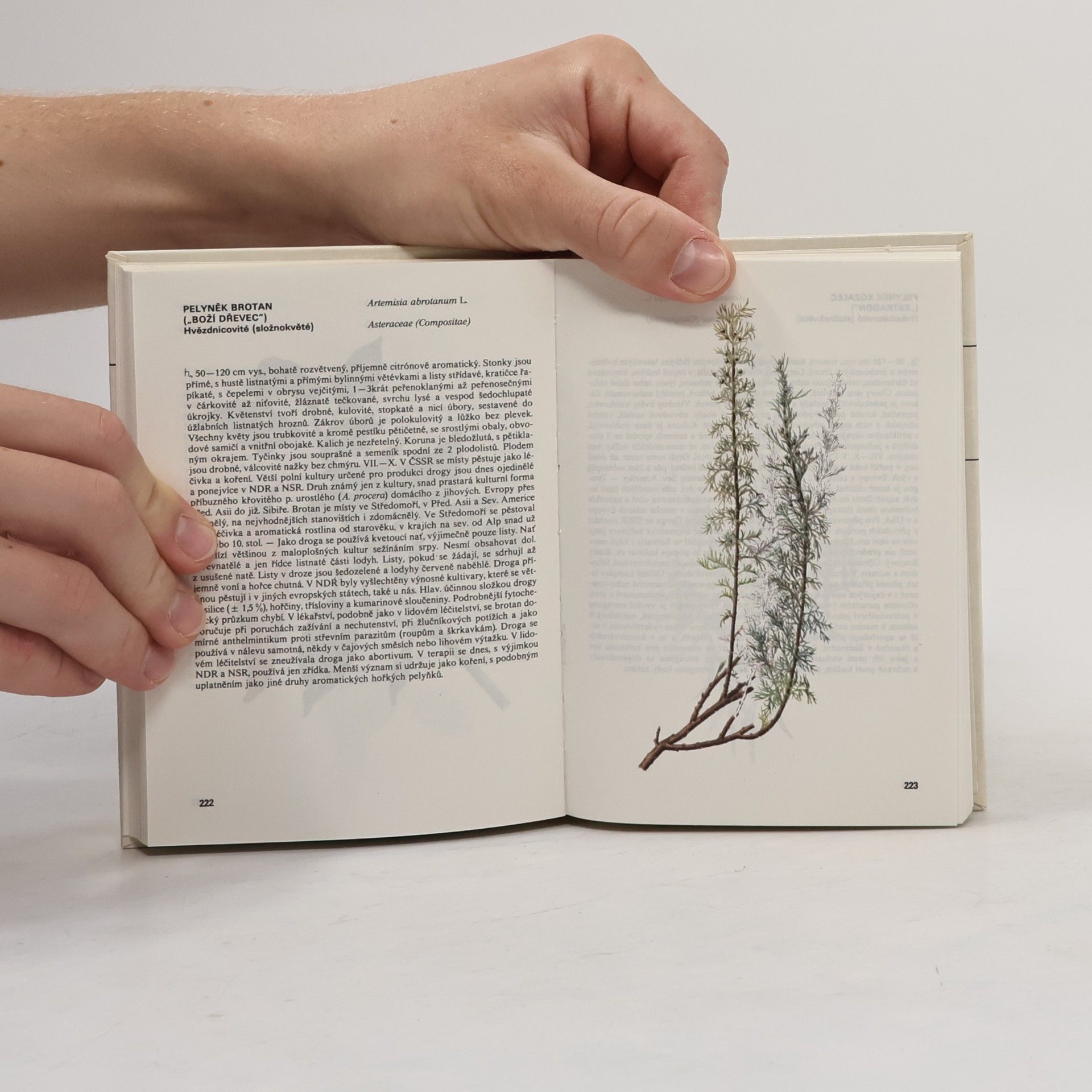 Václav Jirásek Kapesní atlas léčivých rostlin