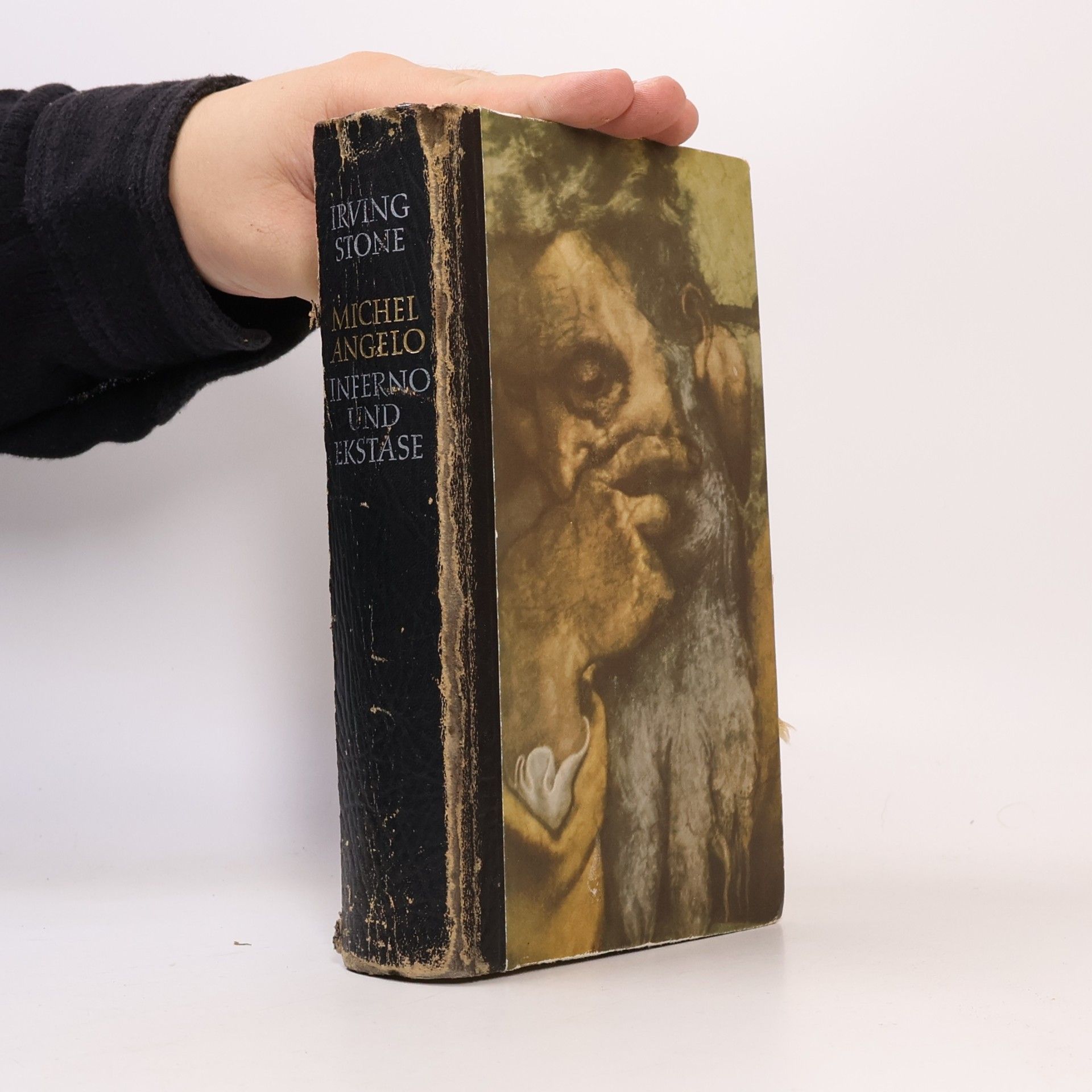 Irving Stone Michelangelo. Inferno und Ekstase