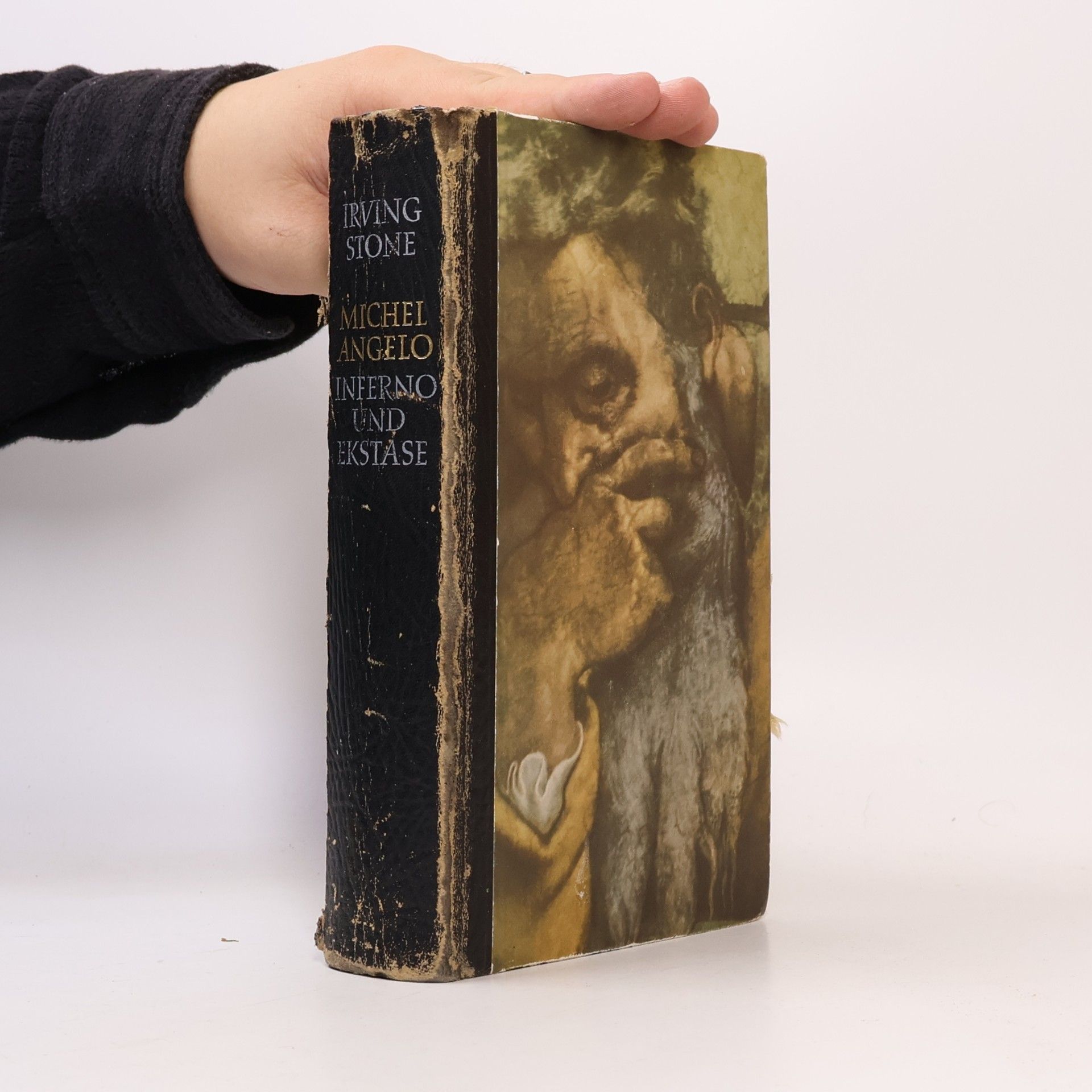 Irving Stone Michelangelo. Inferno und Ekstase