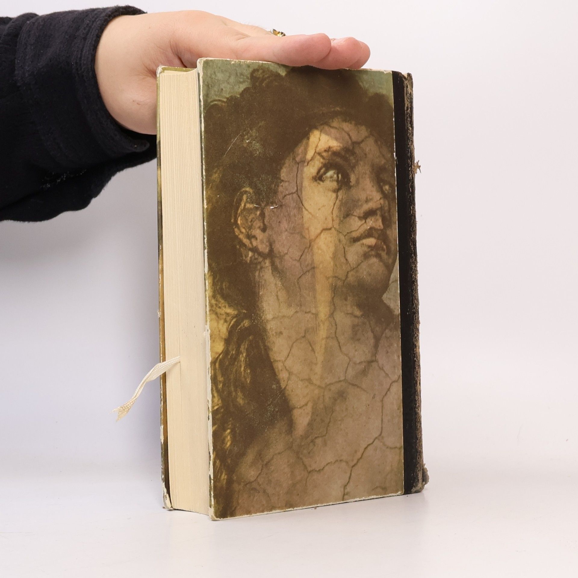 Irving Stone Michelangelo. Inferno und Ekstase