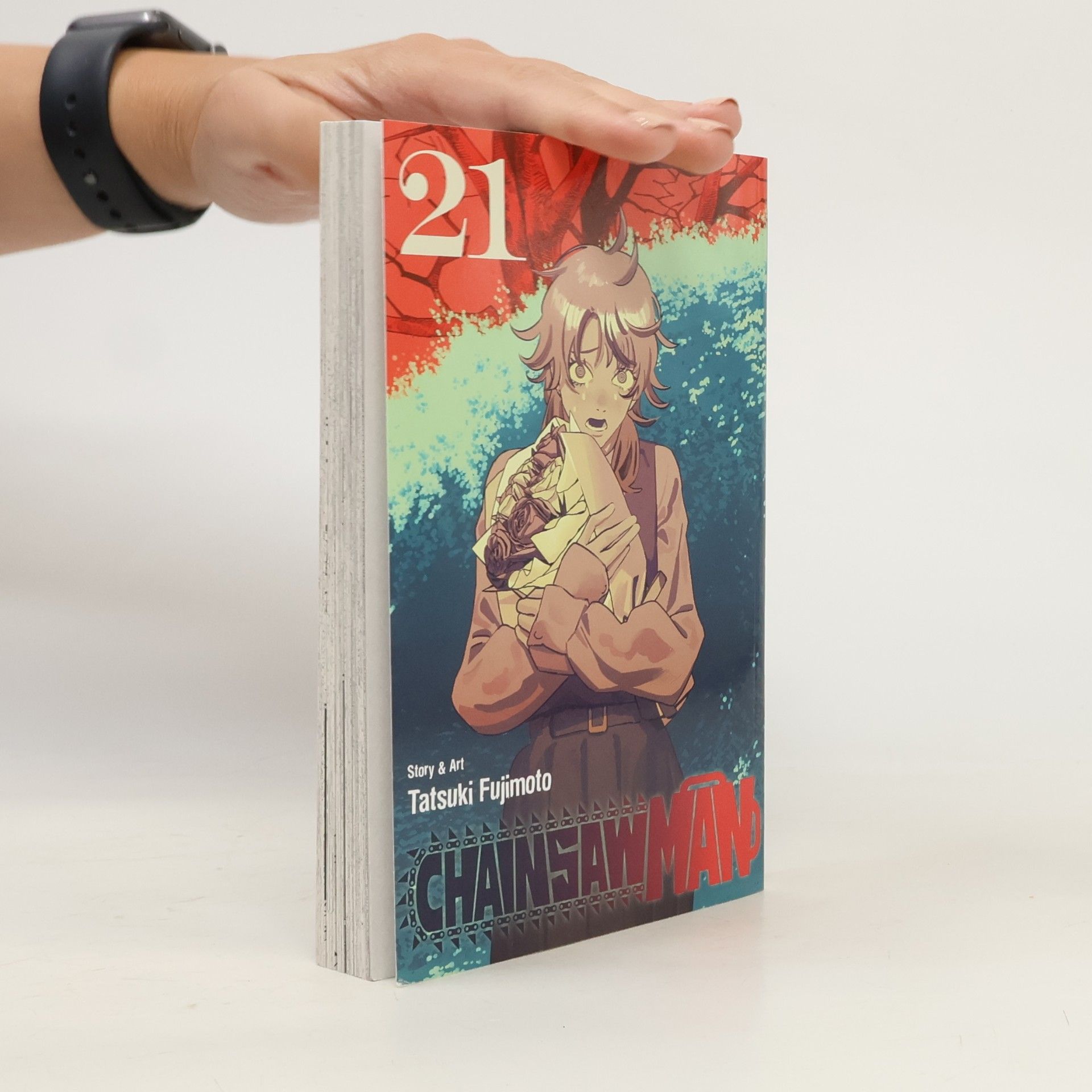 Tatsuki Fujimoto Chainsaw Man