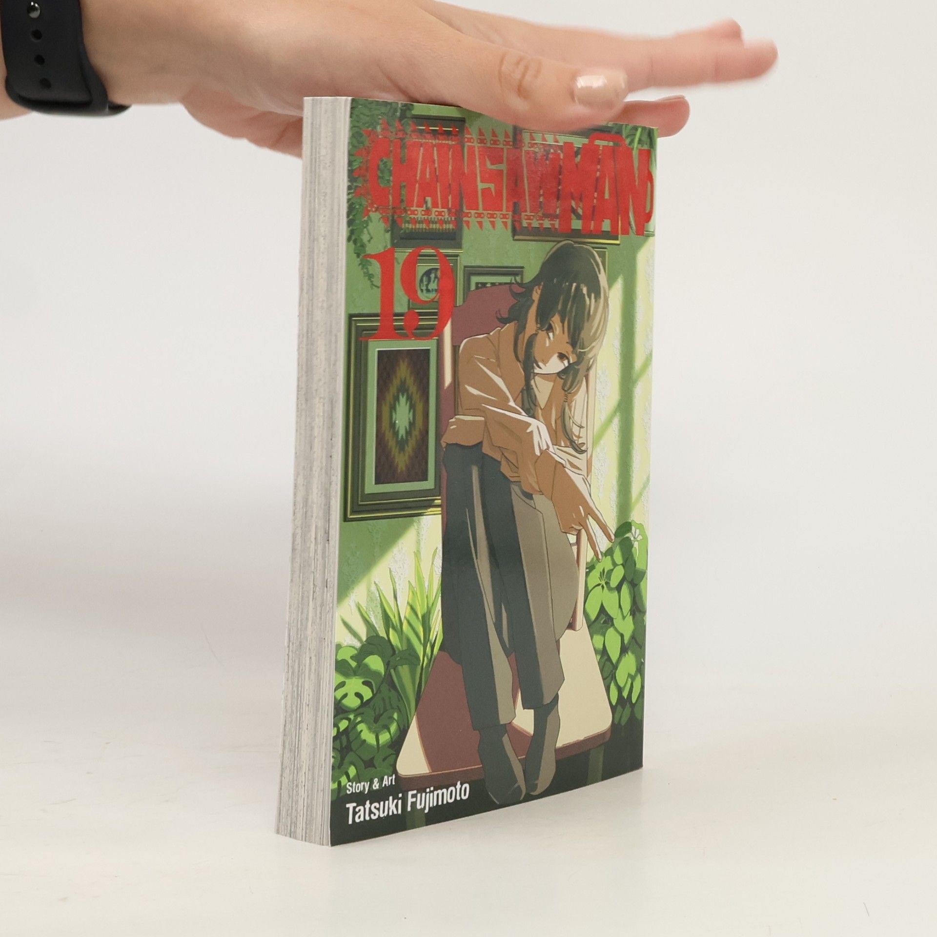 Tatsuki Fujimoto Chainsaw Man