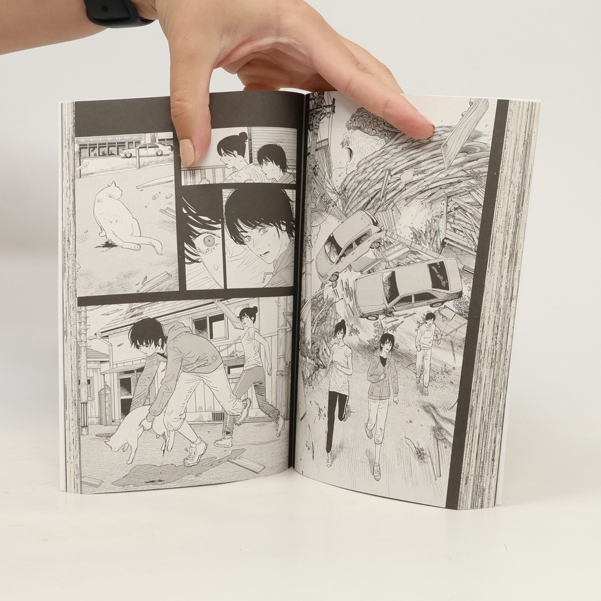 Tatsuki Fujimoto Chainsaw Man, Vol. 12