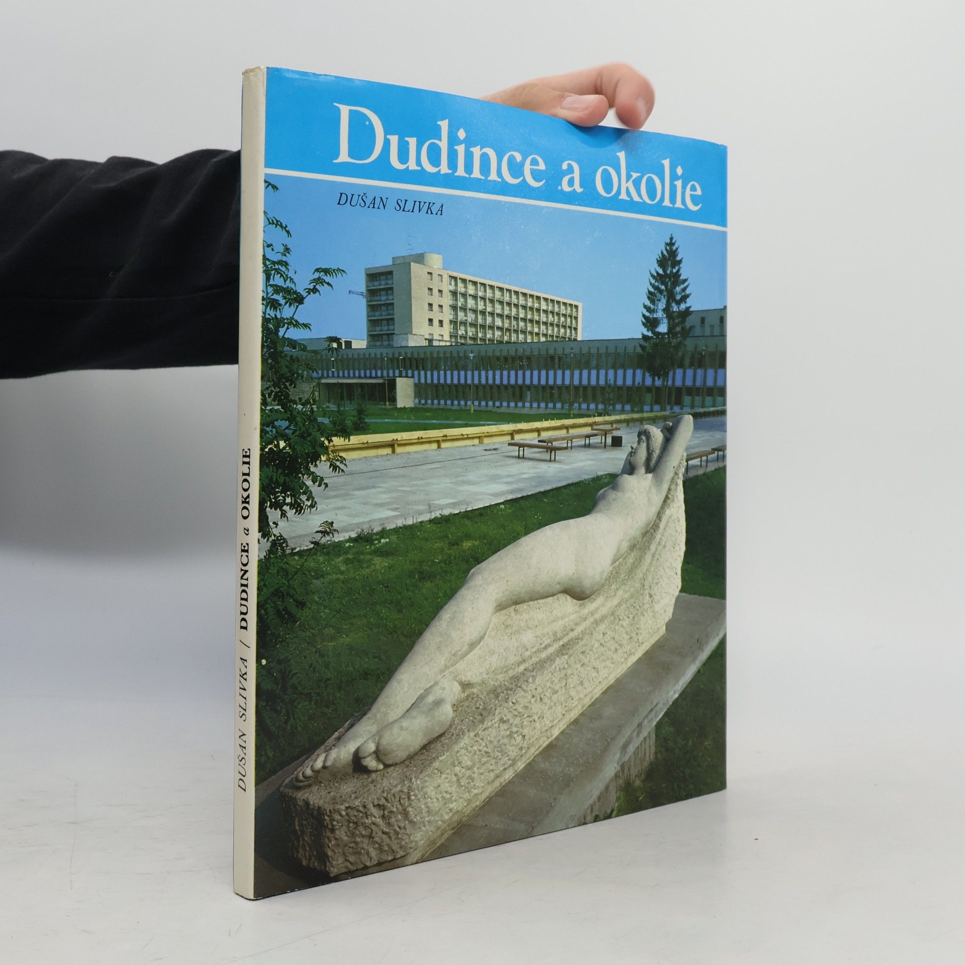 Dudince a okolie