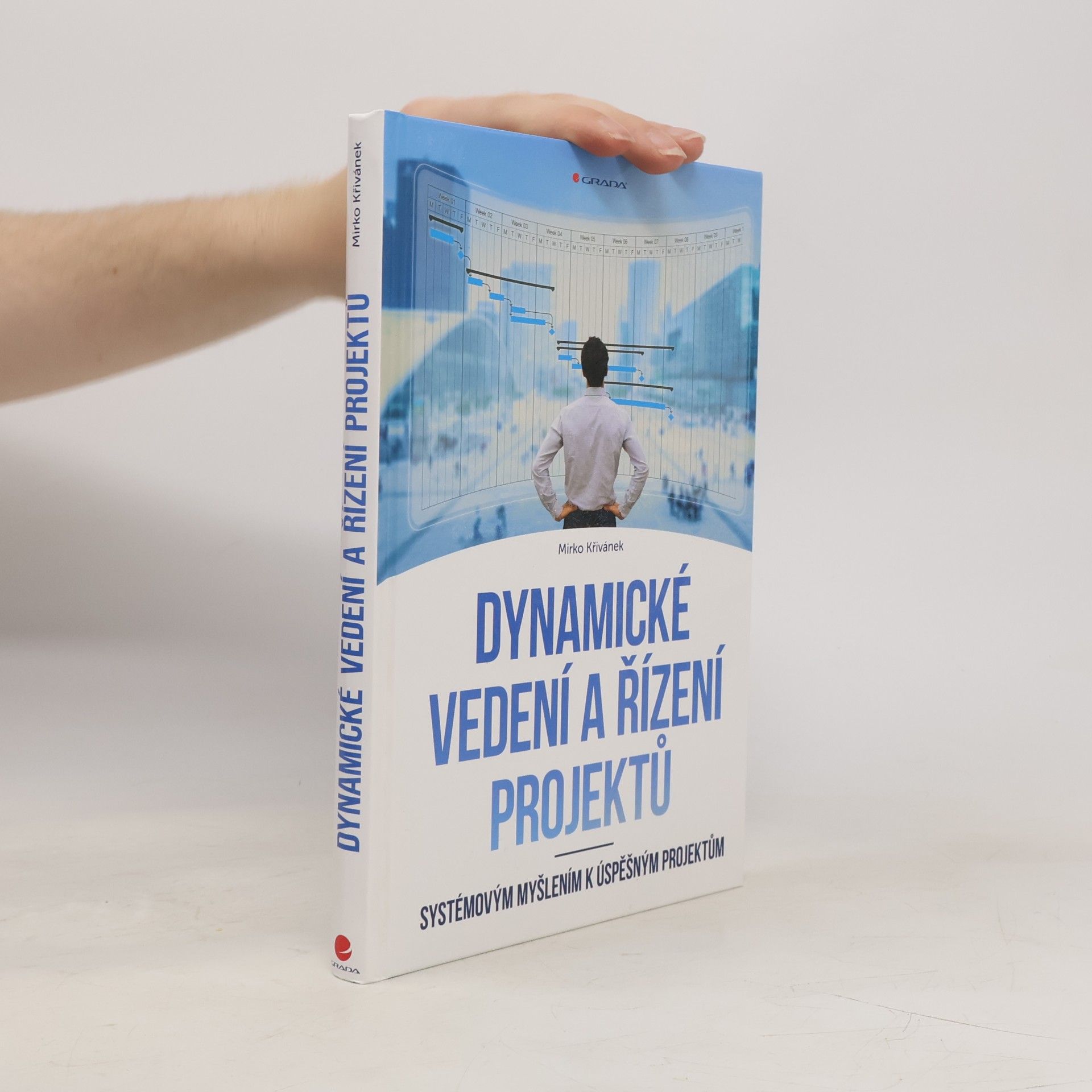 Dynamické vedení a řízení projektů