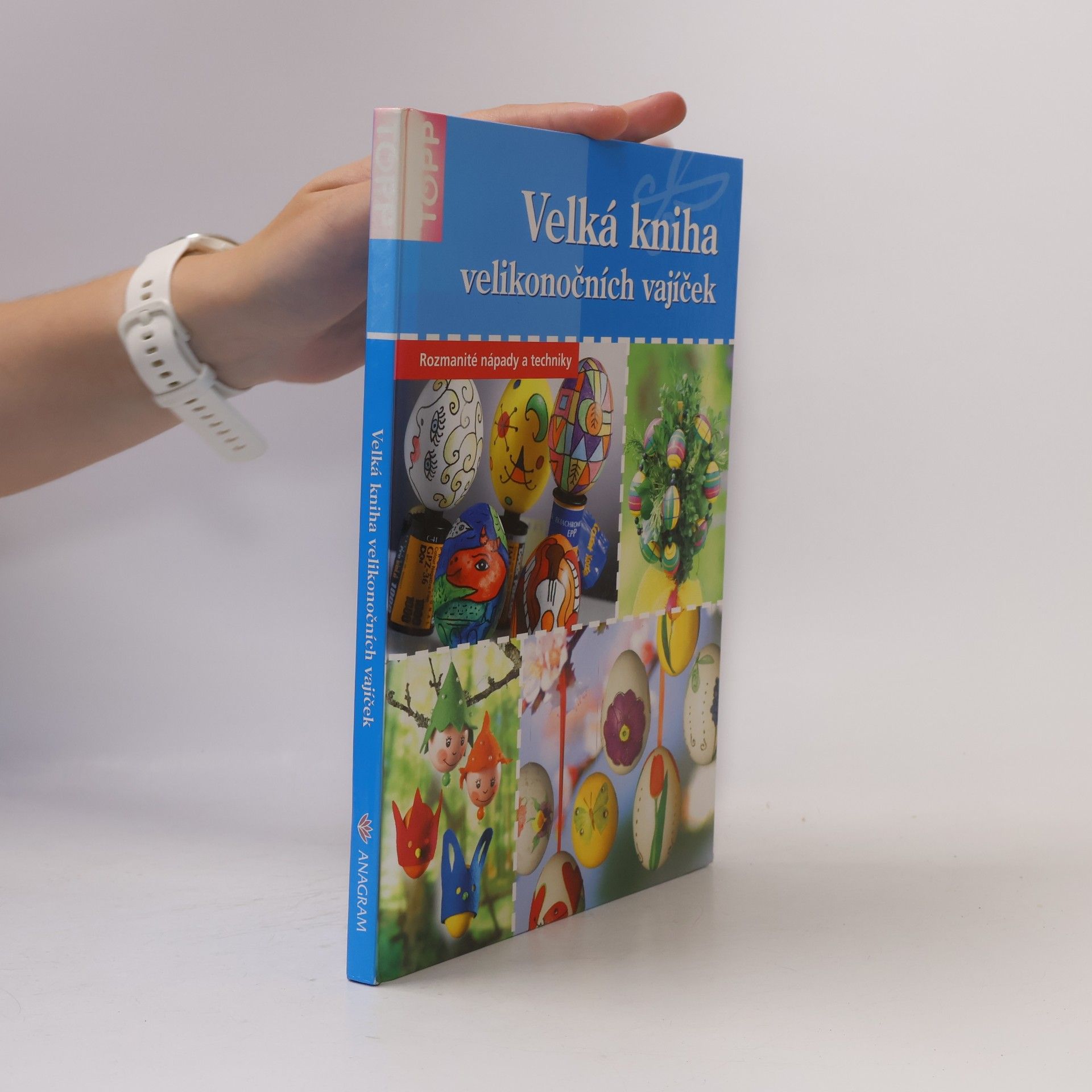 Heide Baer Velká kniha velikonočních vajíček
