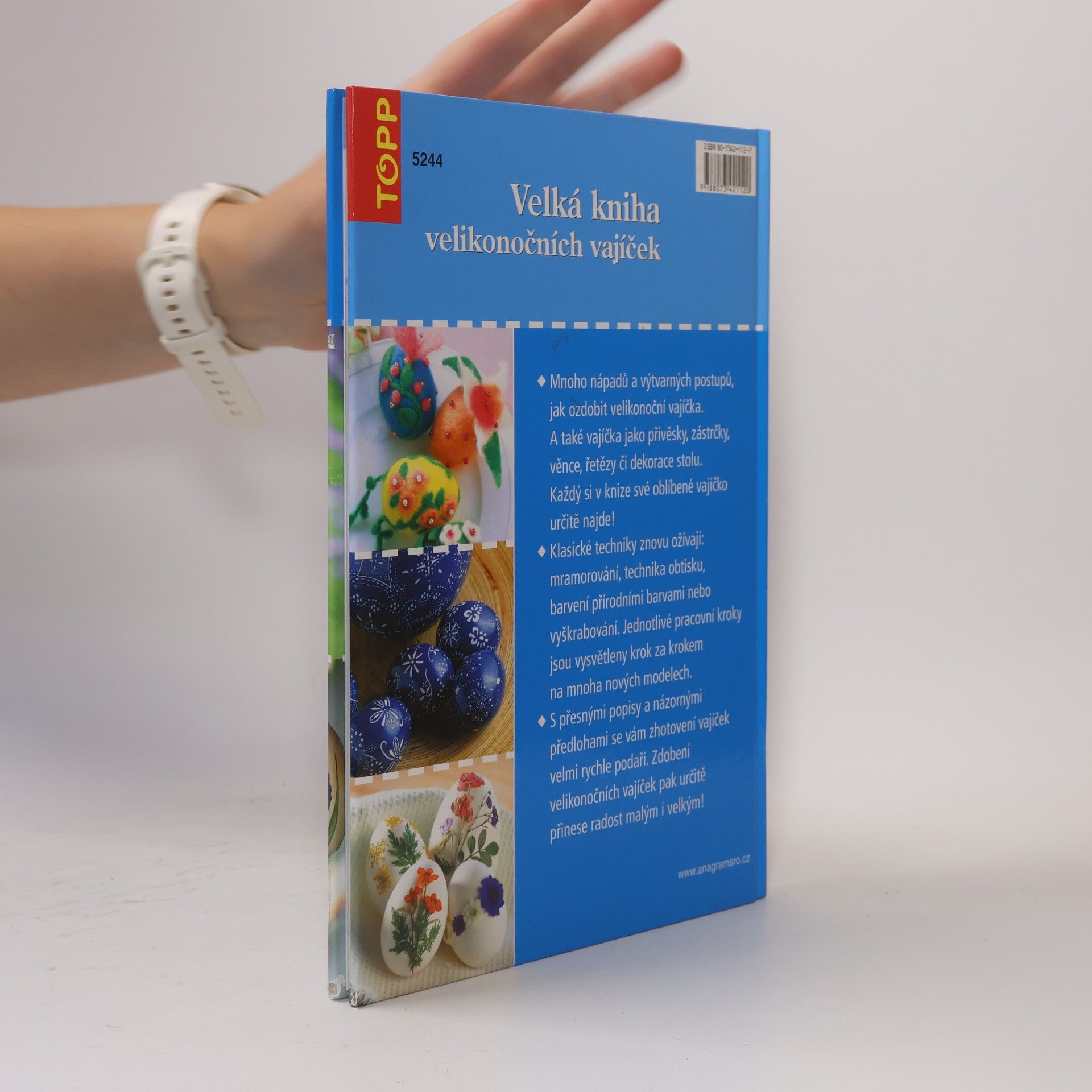 Heide Baer Velká kniha velikonočních vajíček
