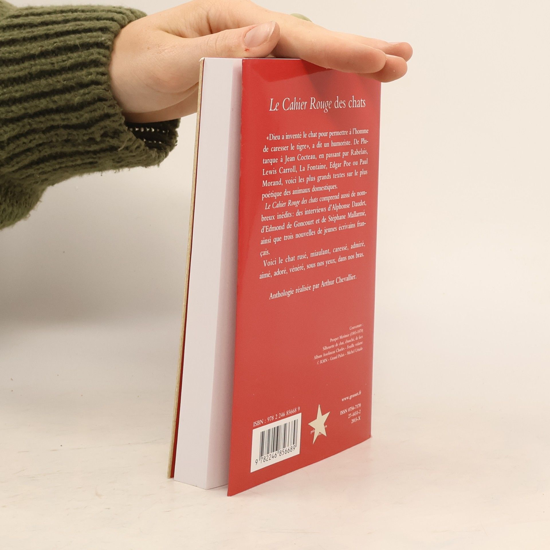 Arthur Chevallier Les Cahiers Rouges: Le cahier rouge des chats