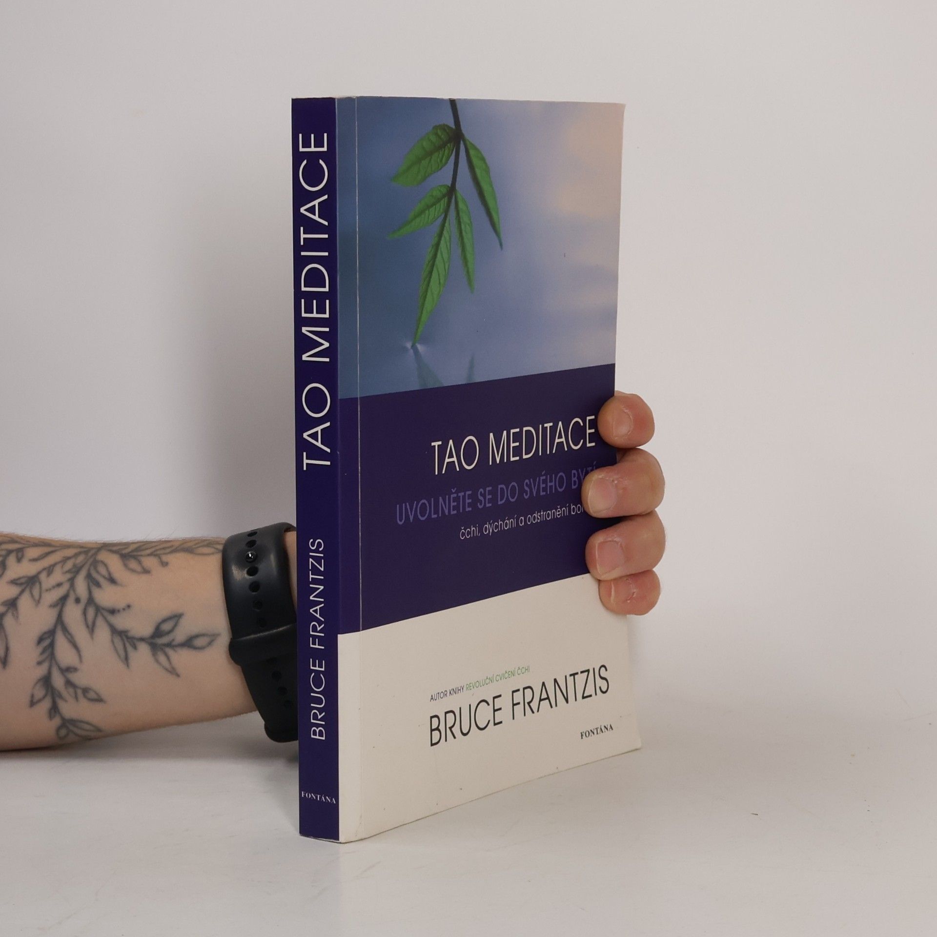 Bruce Kumar Frantzis Tao meditace. Uvolněte se do svého bytí: čchi, dýchání a odstranění bolesti