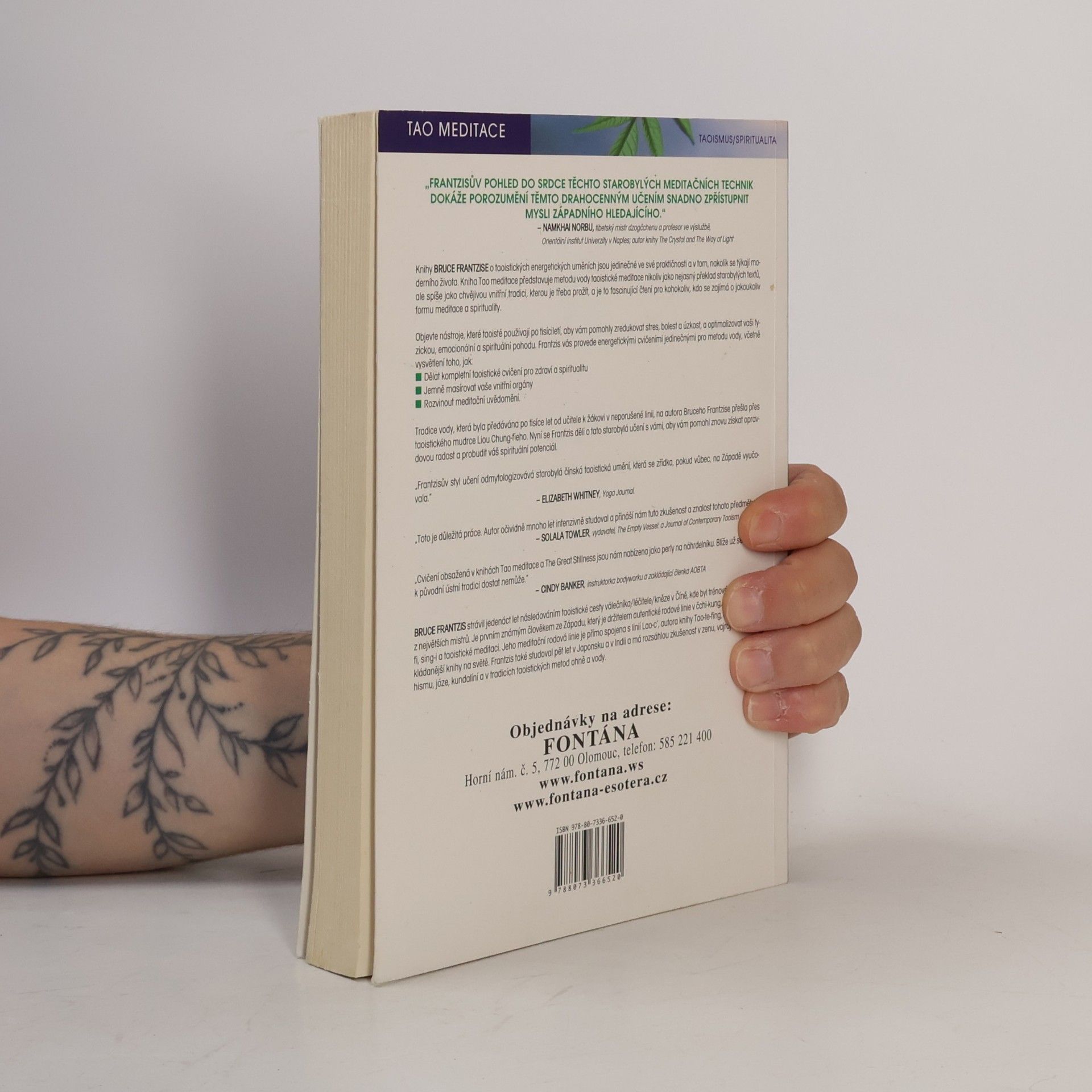 Bruce Kumar Frantzis Tao meditace. Uvolněte se do svého bytí: čchi, dýchání a odstranění bolesti