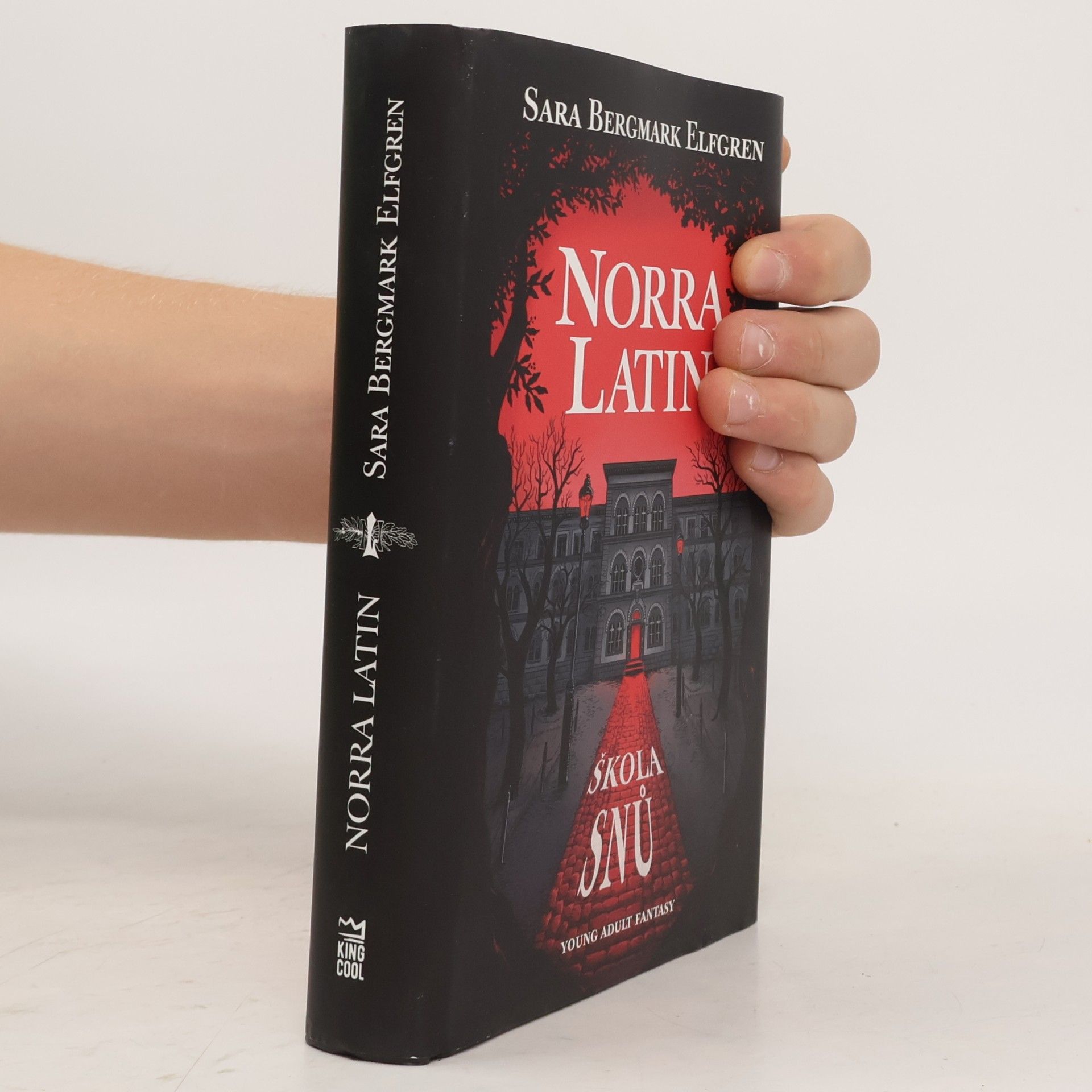 Sara B. Elfgren Norra Latin. Škola snů