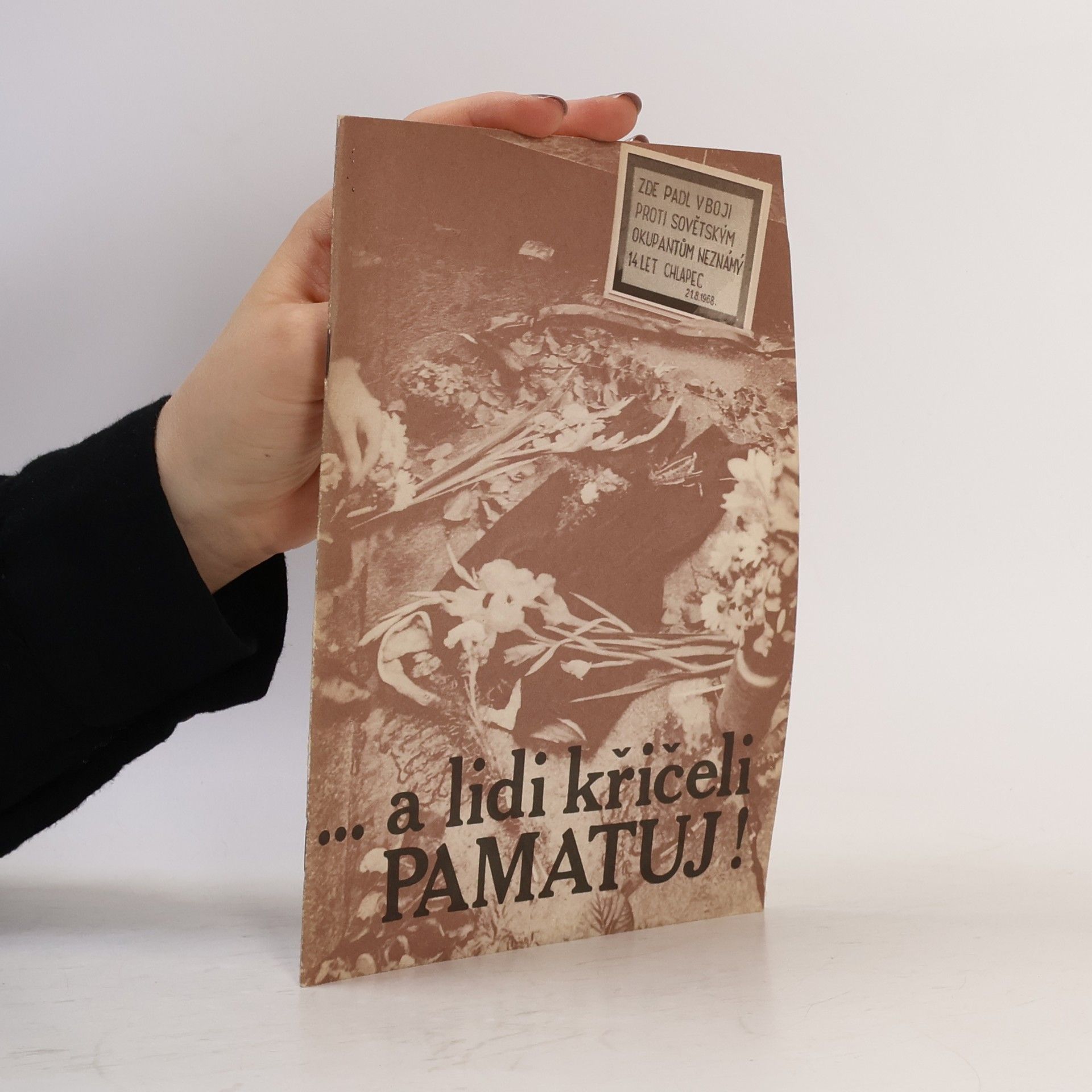 Autorenkollektiv ...a lidi křičeli PAMATUJ!
