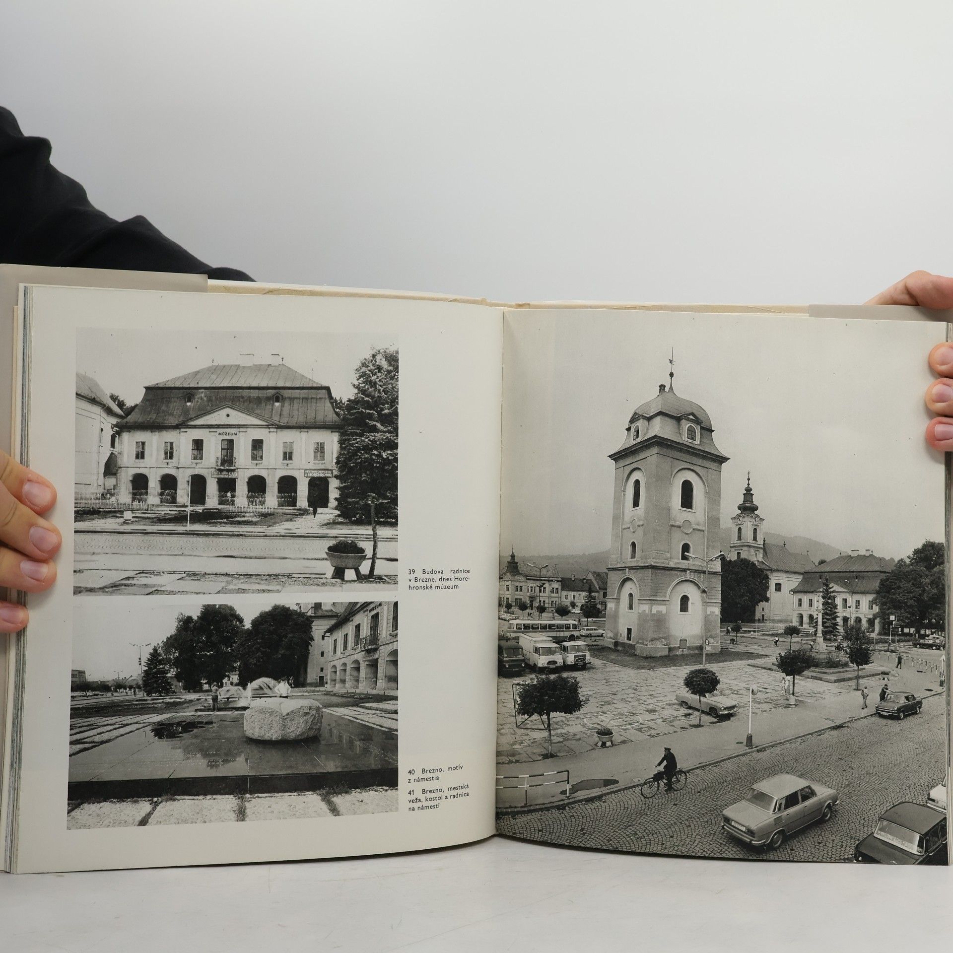 František Krasl Pohronie