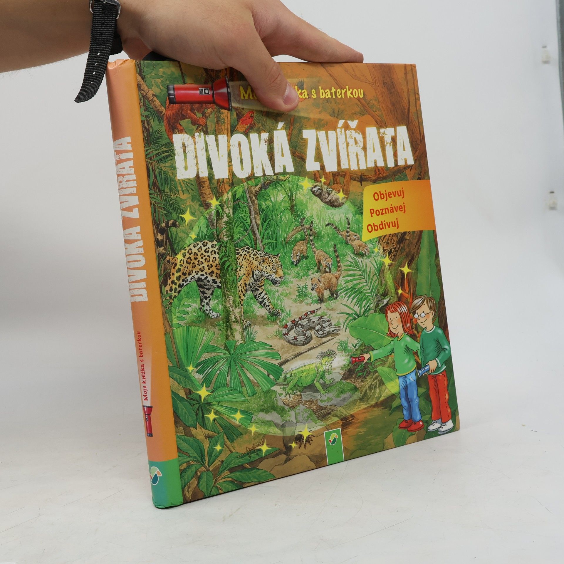 Autorenkollektiv Moje knížka s baterkou : Divoká zvířata