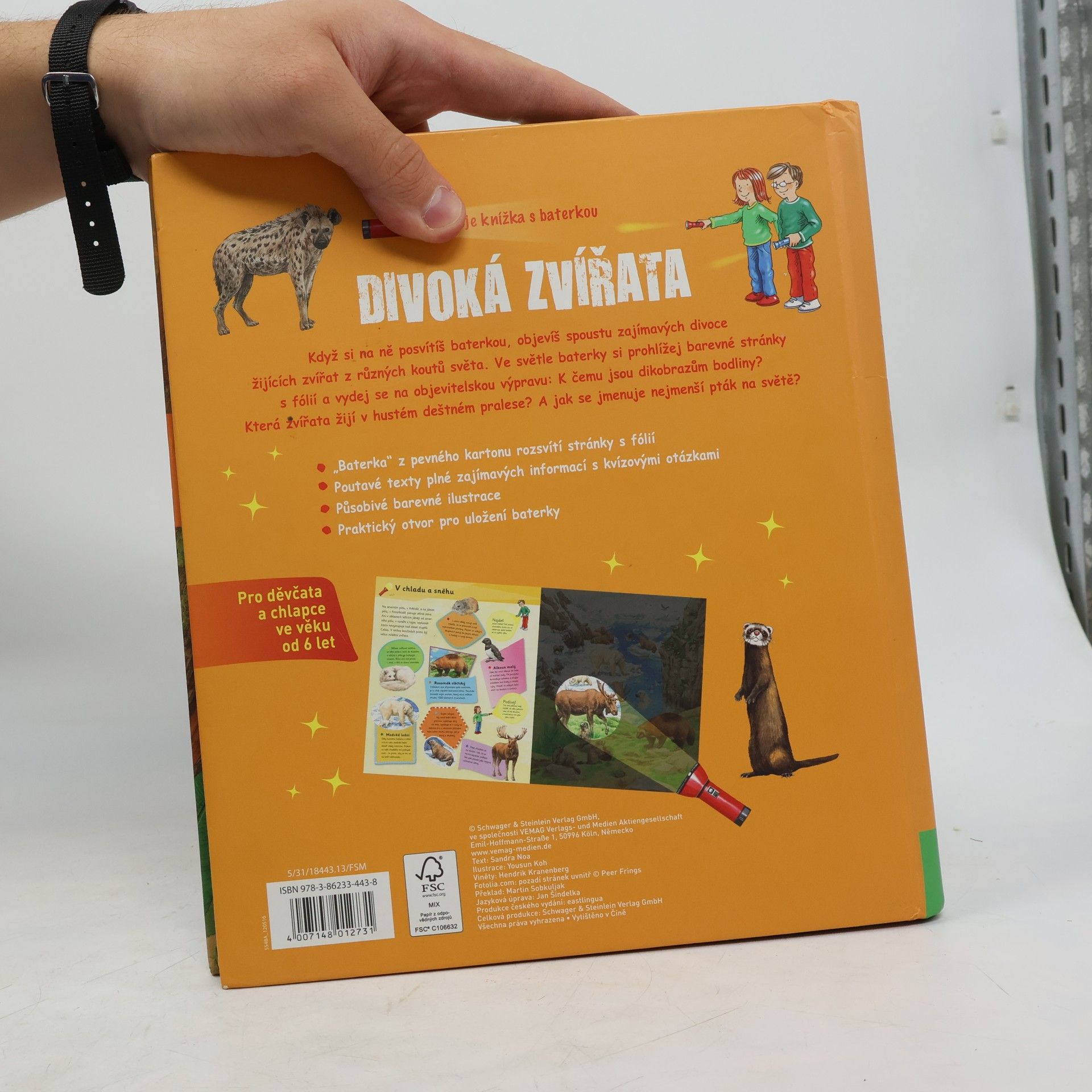 Autorenkollektiv Moje knížka s baterkou : Divoká zvířata