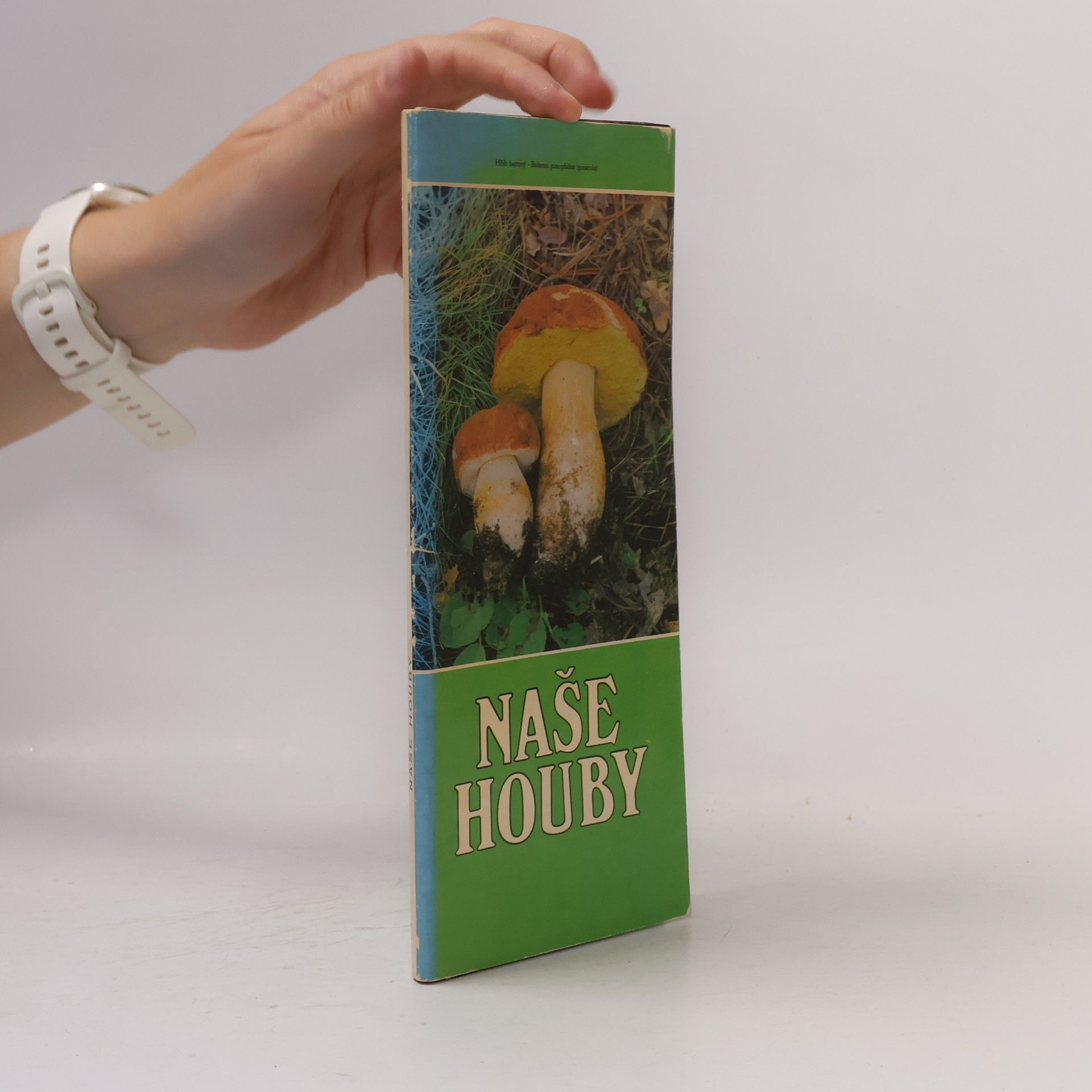 Collectif d'auteurs Naše houby