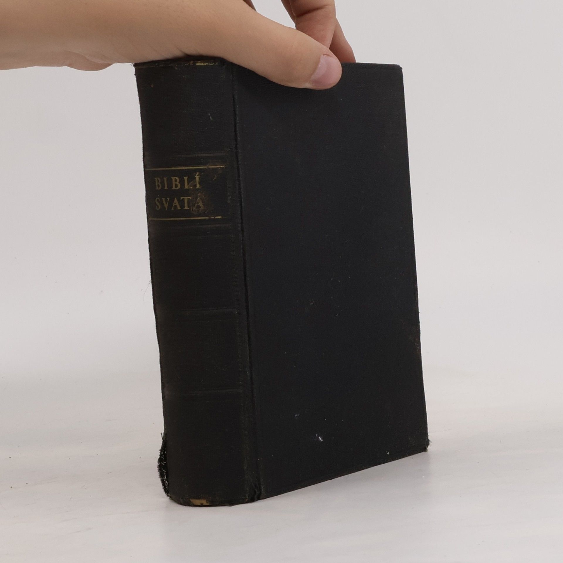 Kolektiv autorů Biblí svatá aneb Všecka svatá písma Starého i Nového zákona