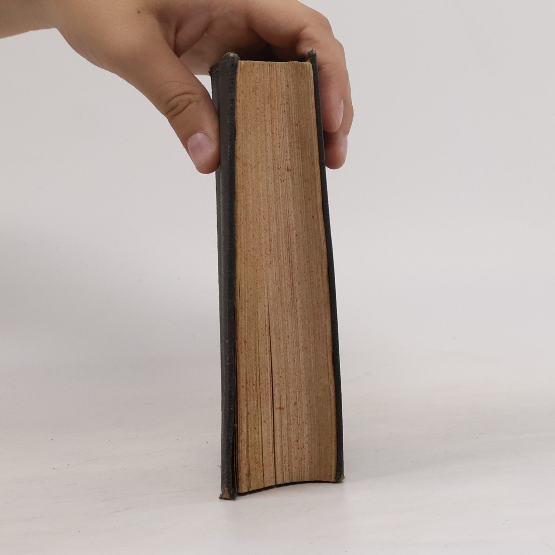 Kolektiv autorů Biblí svatá aneb Všecka svatá písma Starého i Nového zákona