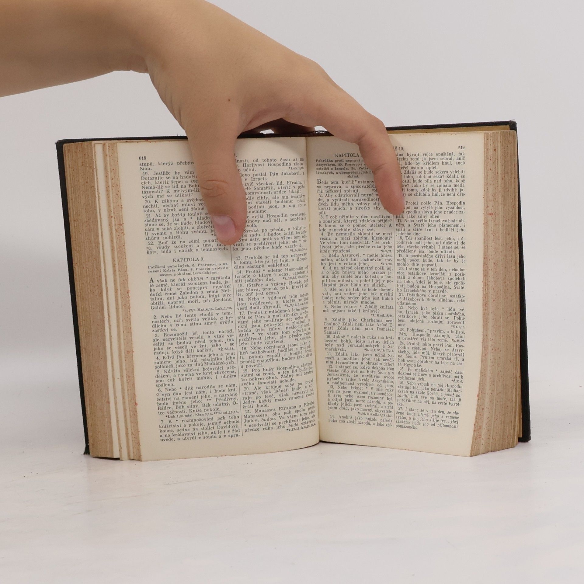 Kolektiv autorů Biblí svatá aneb Všecka svatá písma Starého i Nového zákona