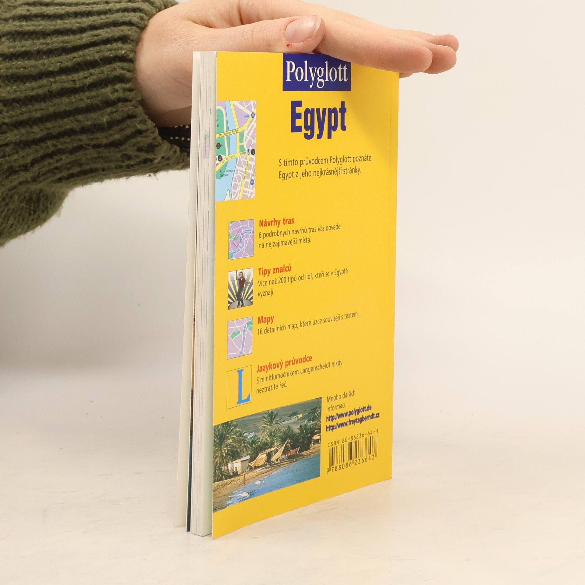 Michel Rauch Egypt