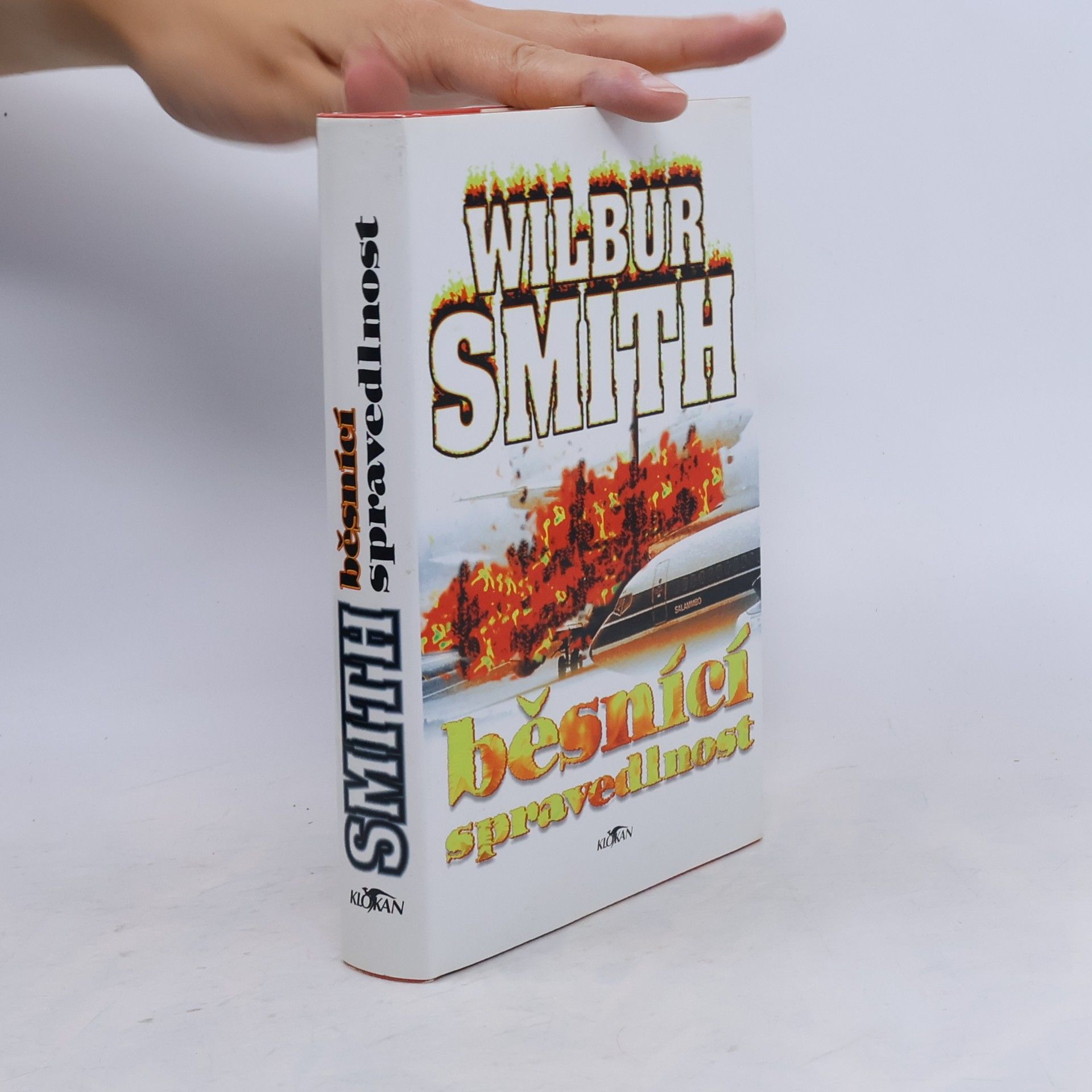 Wilbur A. Smith Běsnící spravedlnost