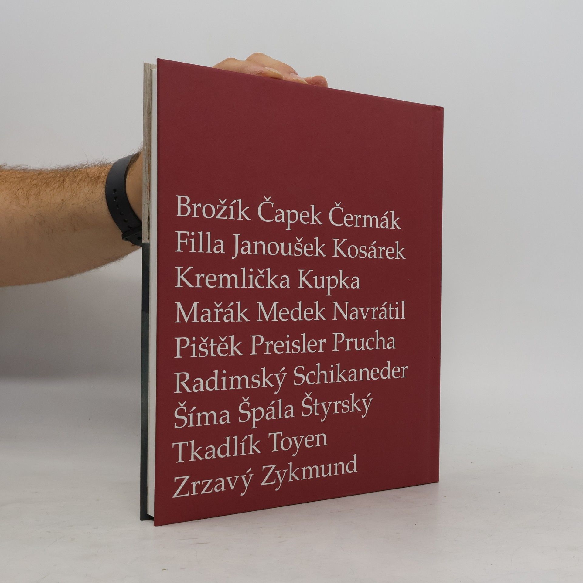 Vendula Vašátková Před obrazem