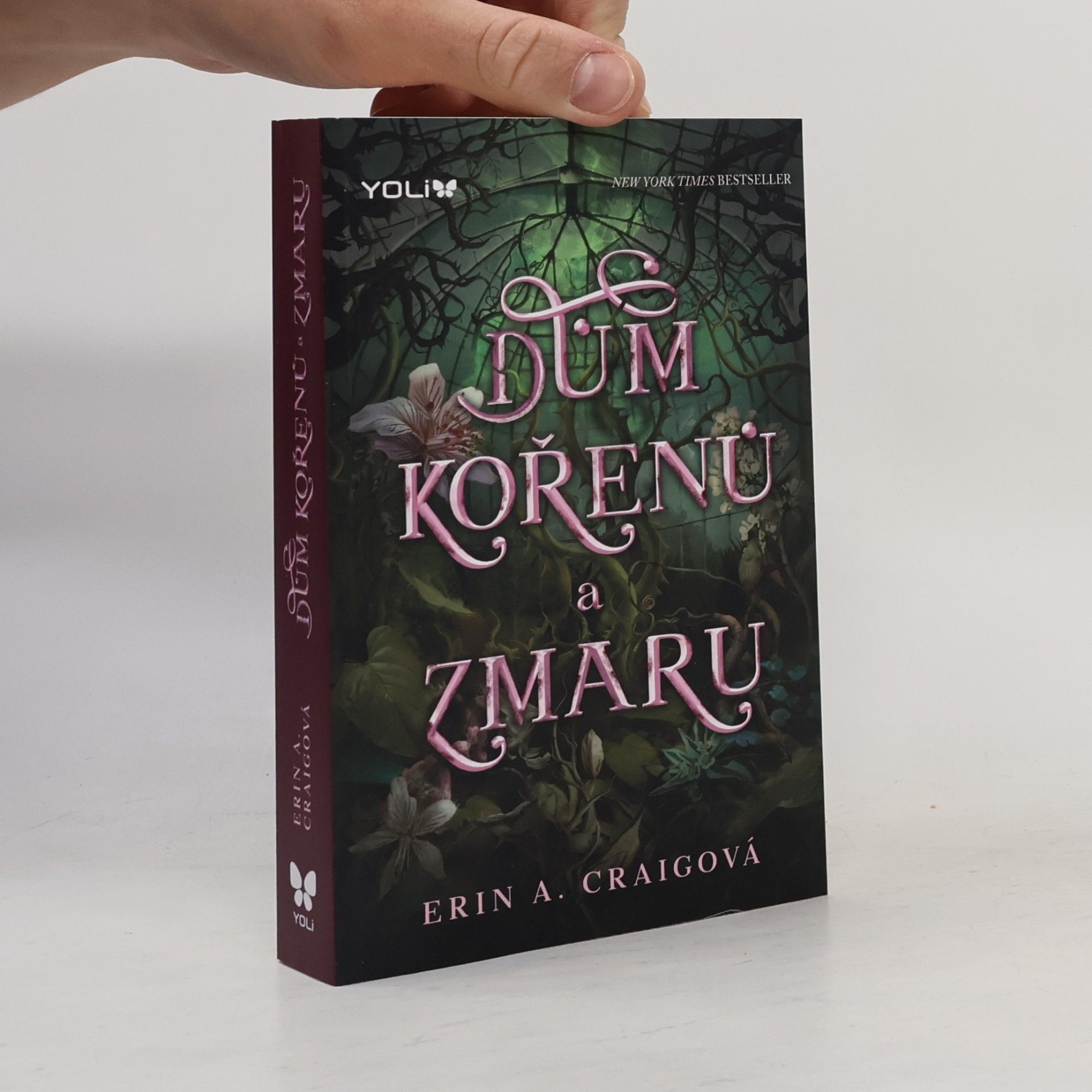 Erin A. Craig Dům kořenů a zmaru