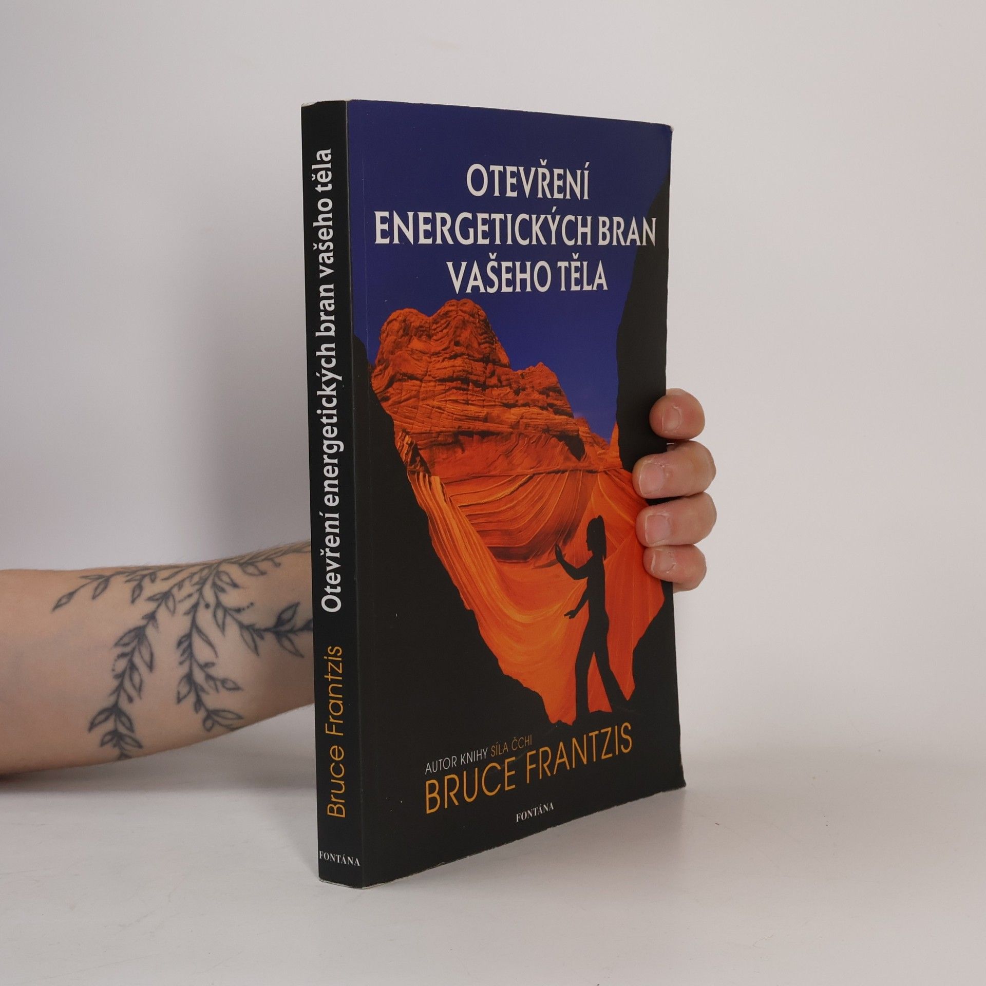 Bruce Kumar Frantzis Otevření energetických bran vašeho těla