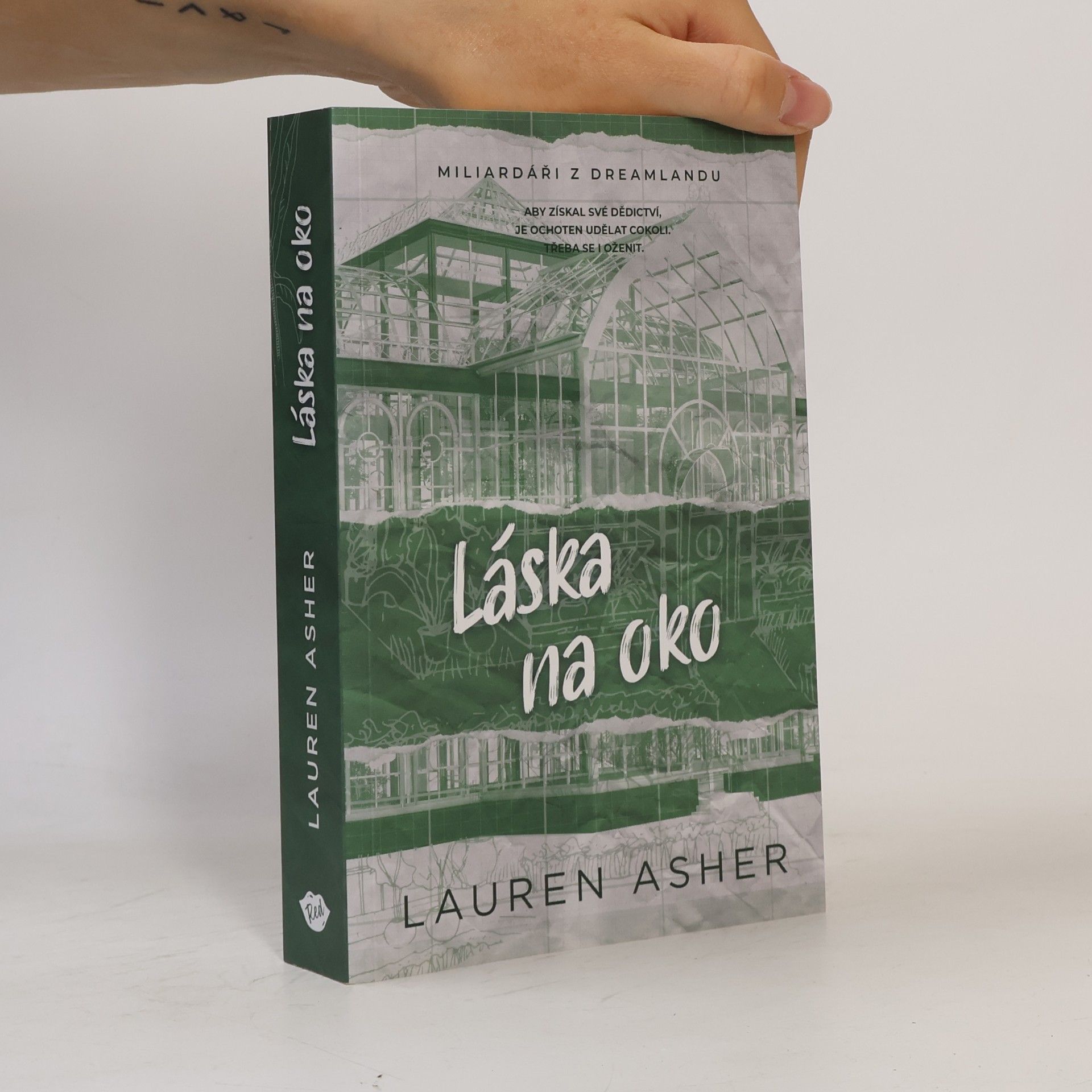 Lauren Asher Láska na oko