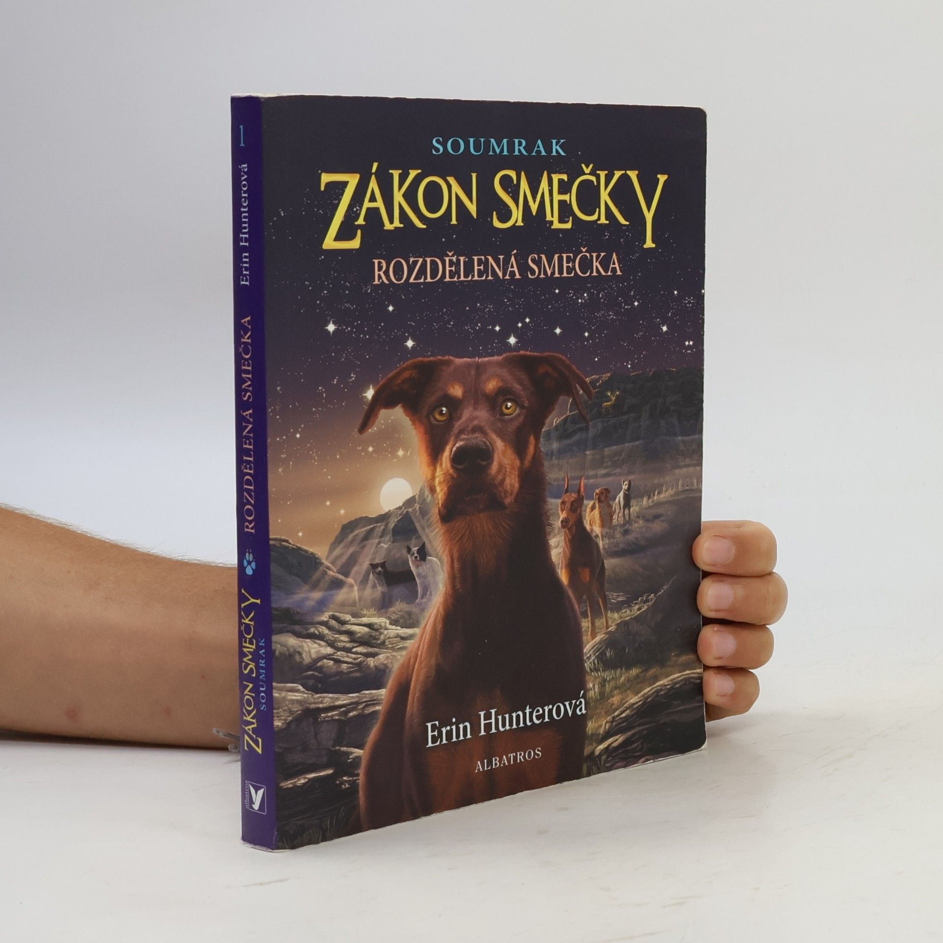 Erin Hunter Rozdělená smečka