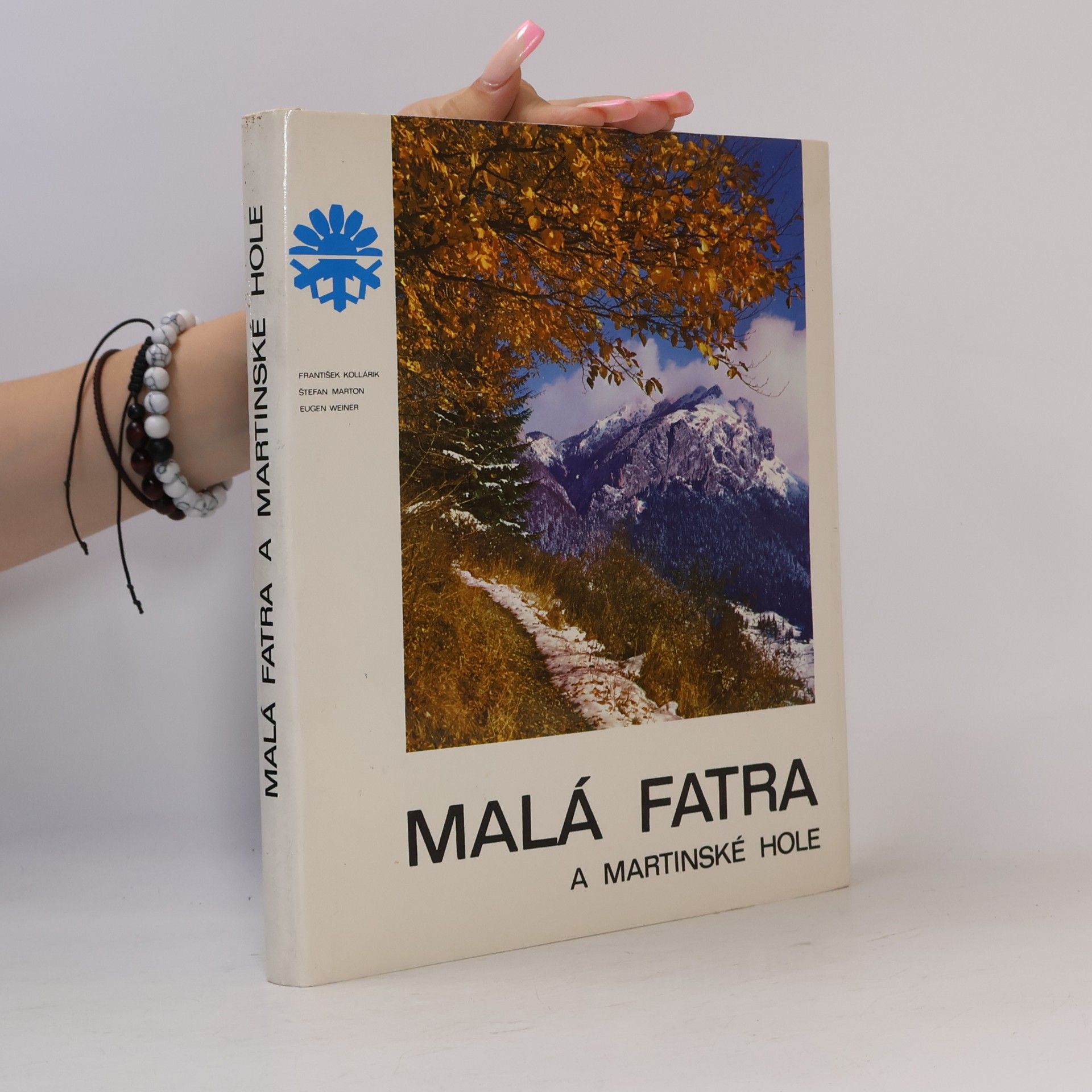 Malá Fatra a Martinské hole